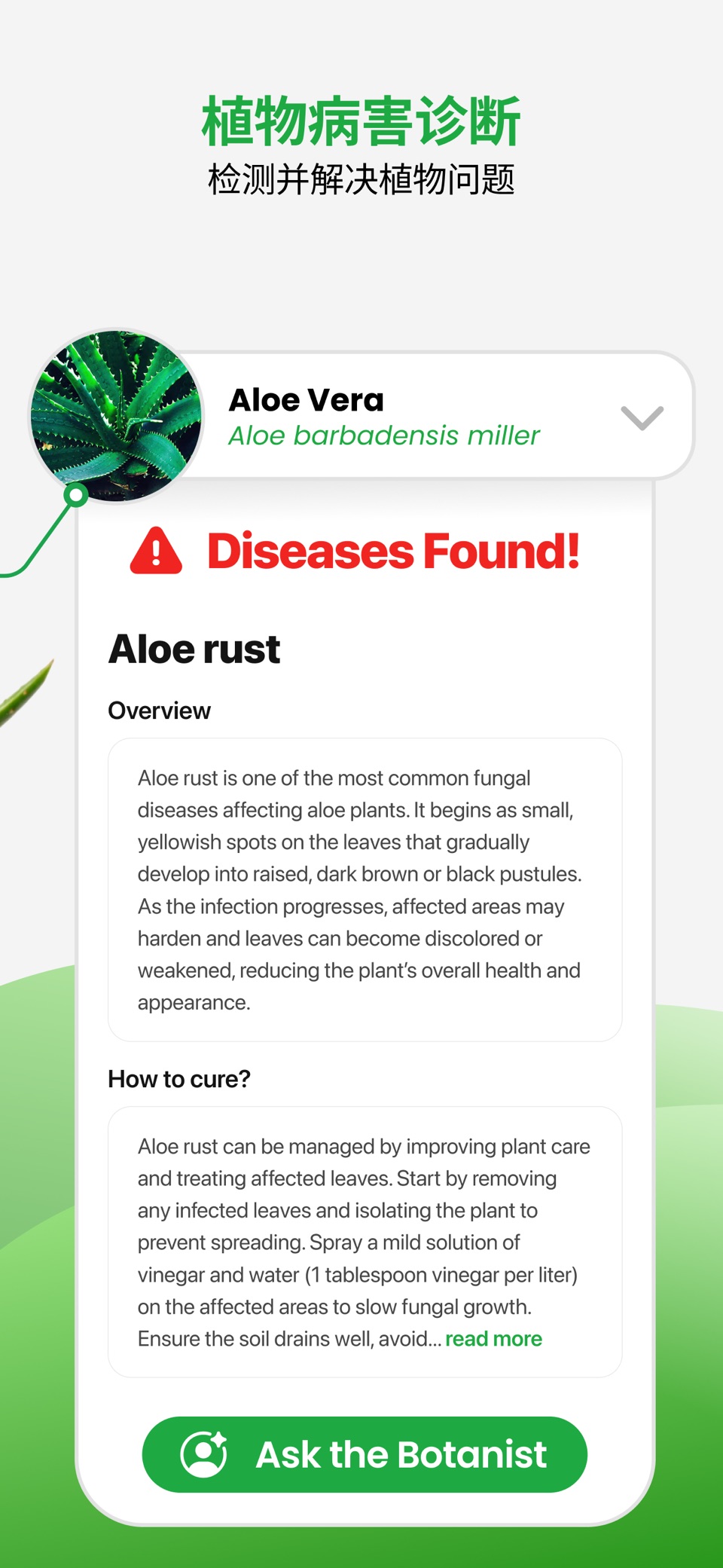 PlantApp：AI 拍照识花与植物识别 3