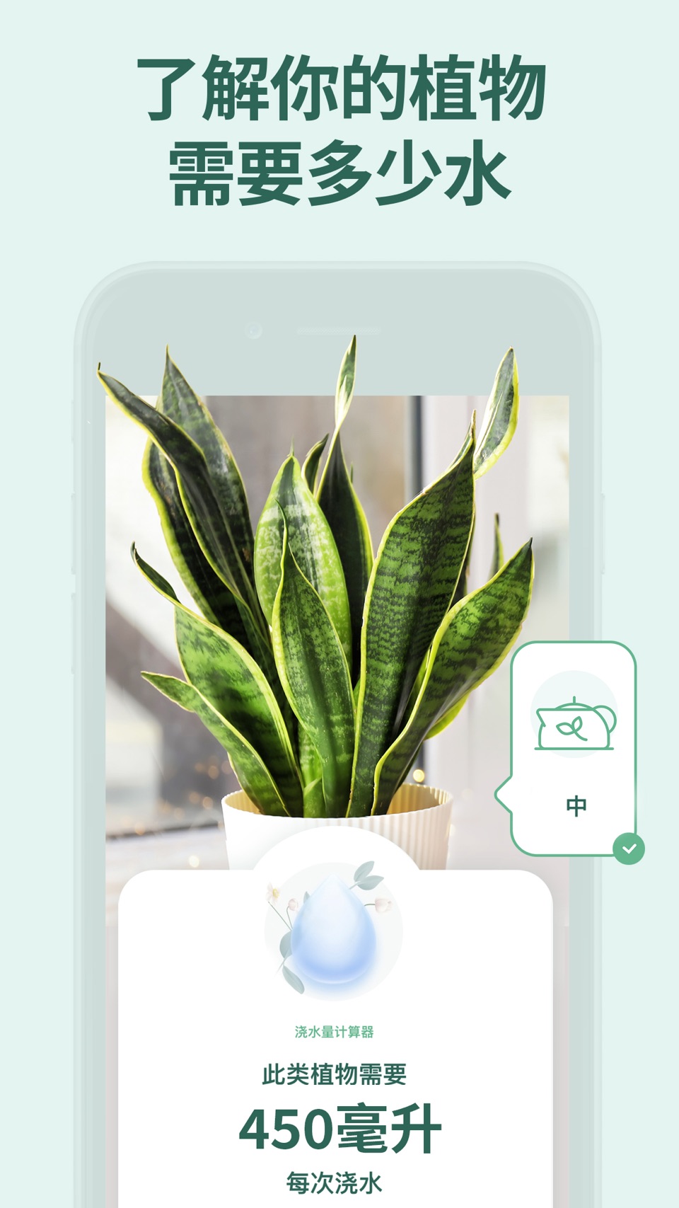 花草录-识别植物种类。 Blossom 出品 10