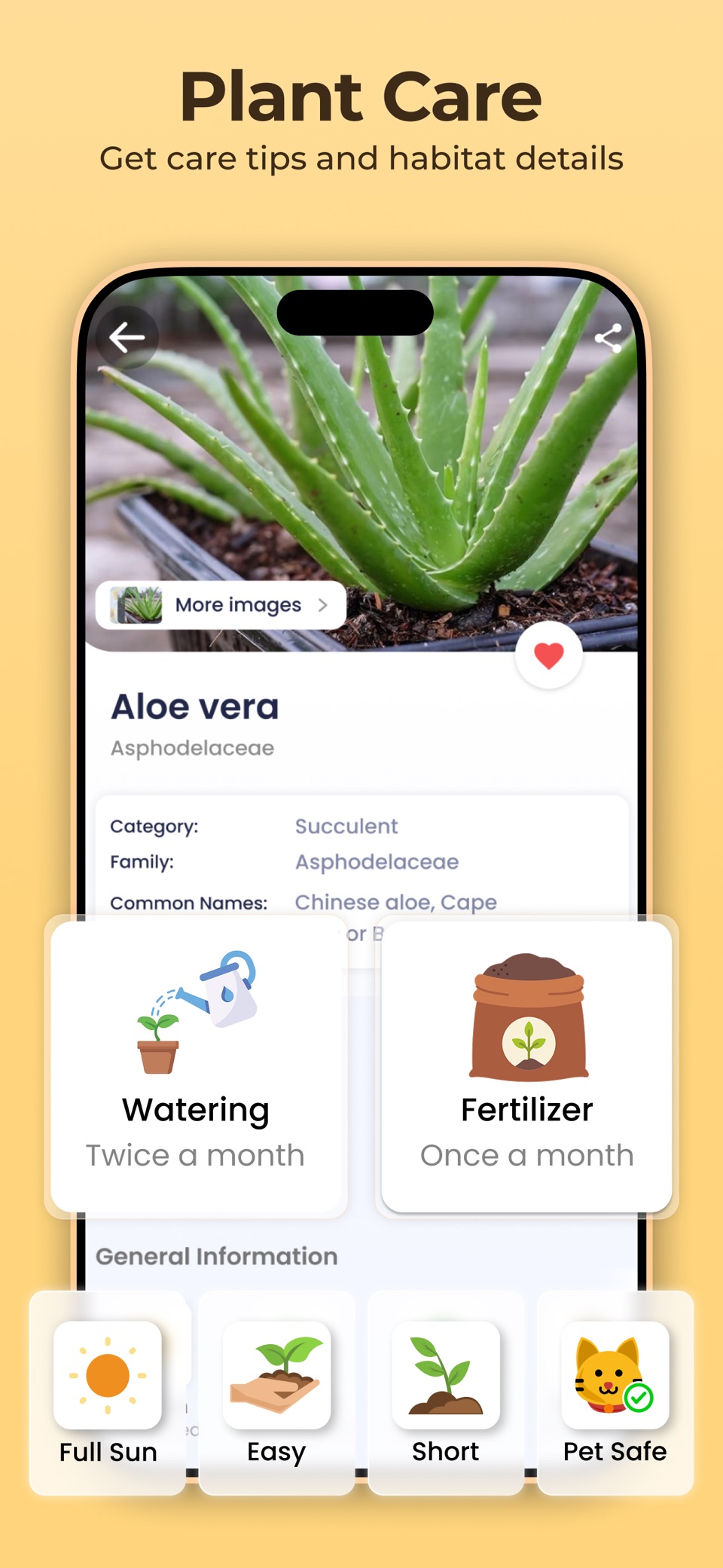 Plantora- 植物识别鉴定养护 2