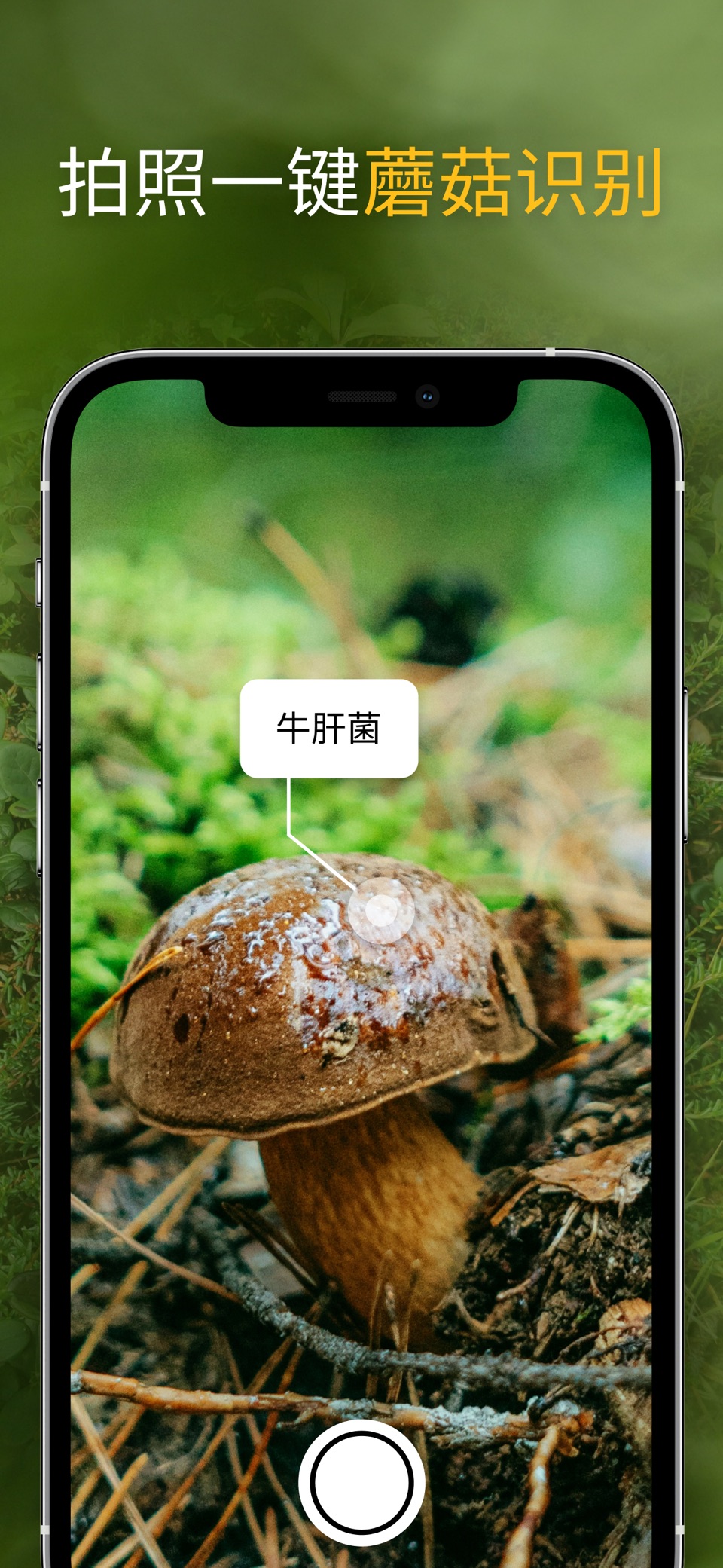 蘑菇 - 识别植物软件, 菌窝子, 菇菇 · Store screenshots