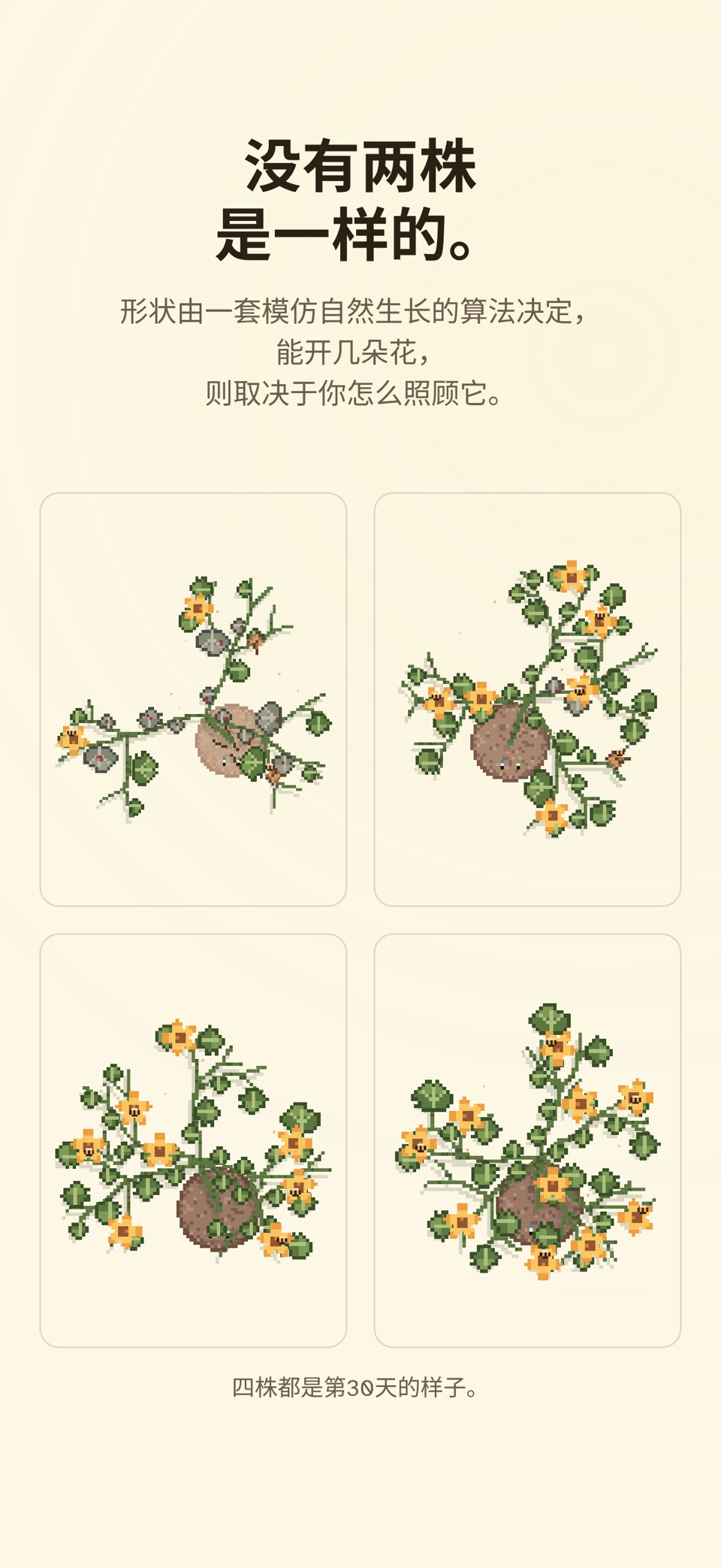 I Have a Garden：游戏 2