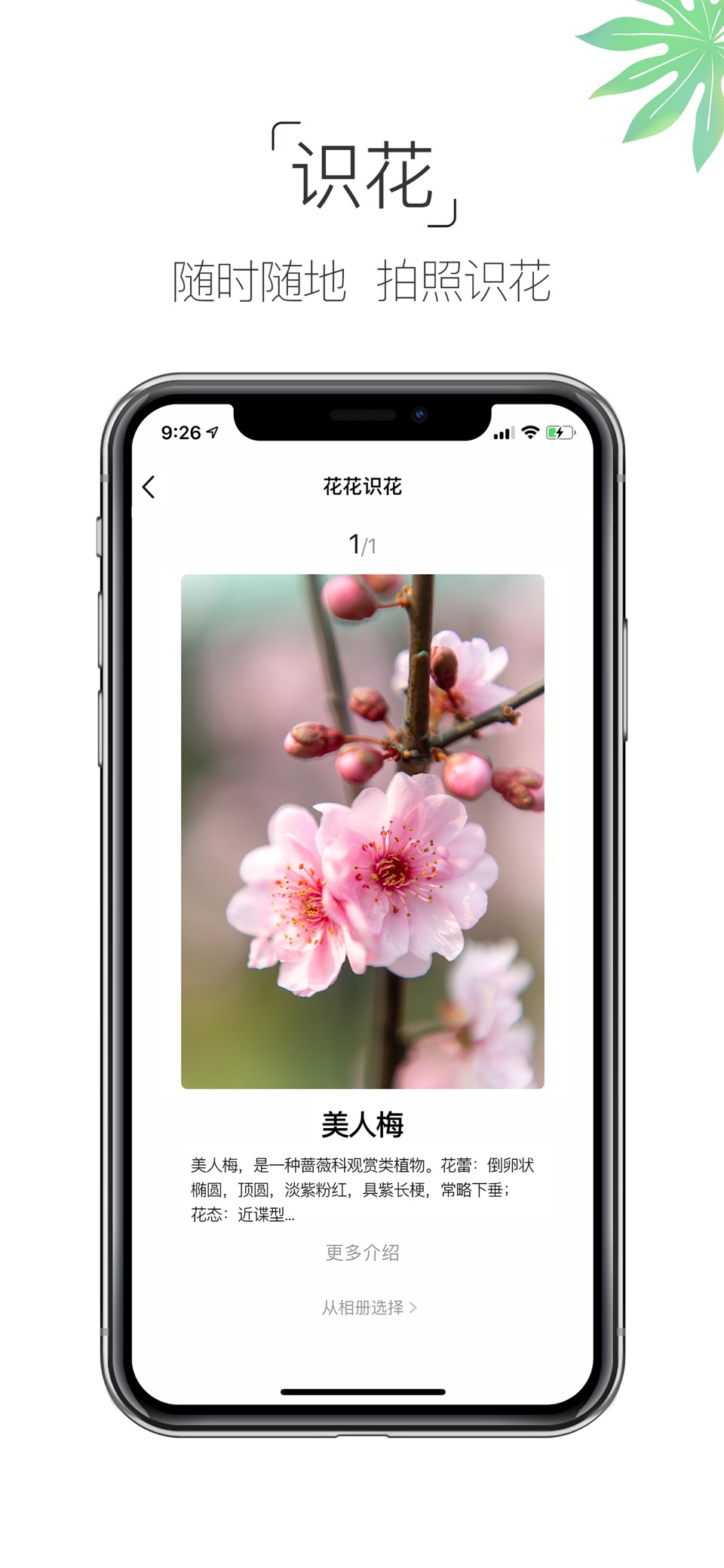 养花大全-养花人的圈子 3