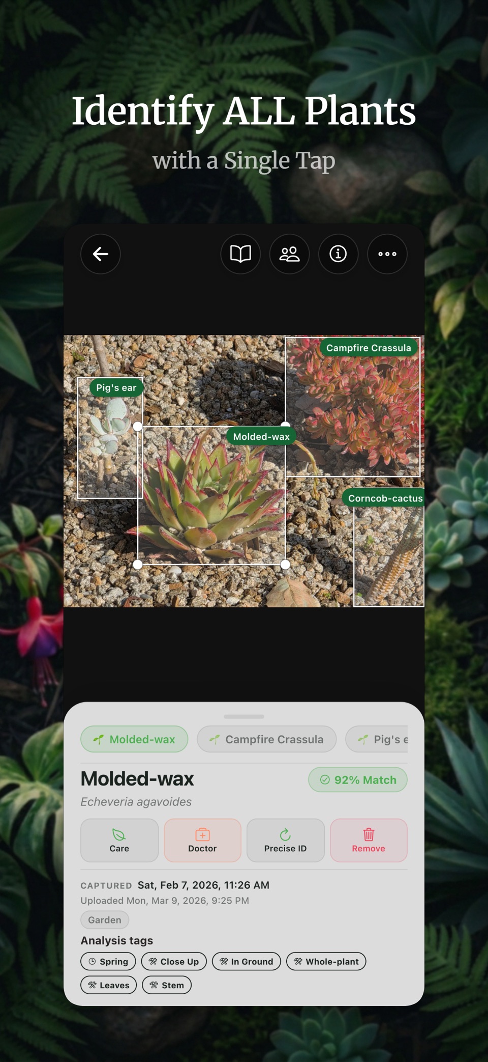 BotaniSense：AI植物养护 2