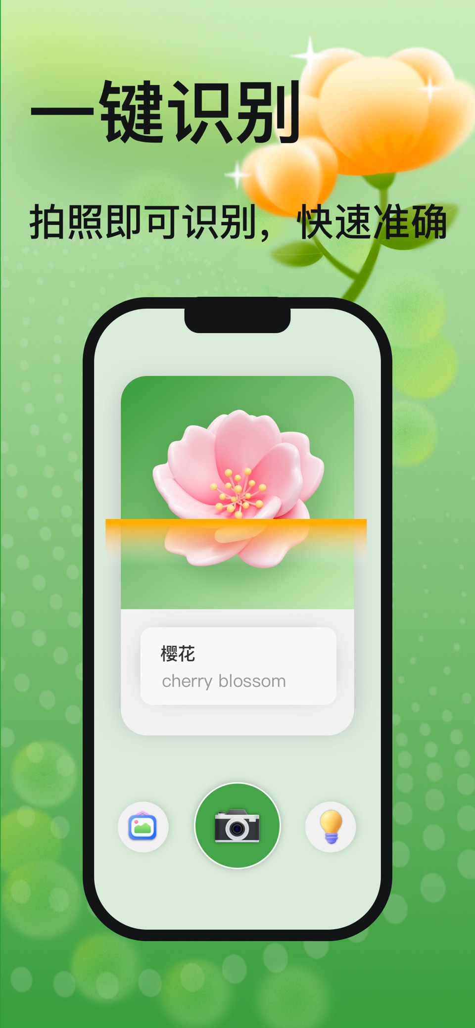 PlantPix-拍摄识别植物&花卉 2