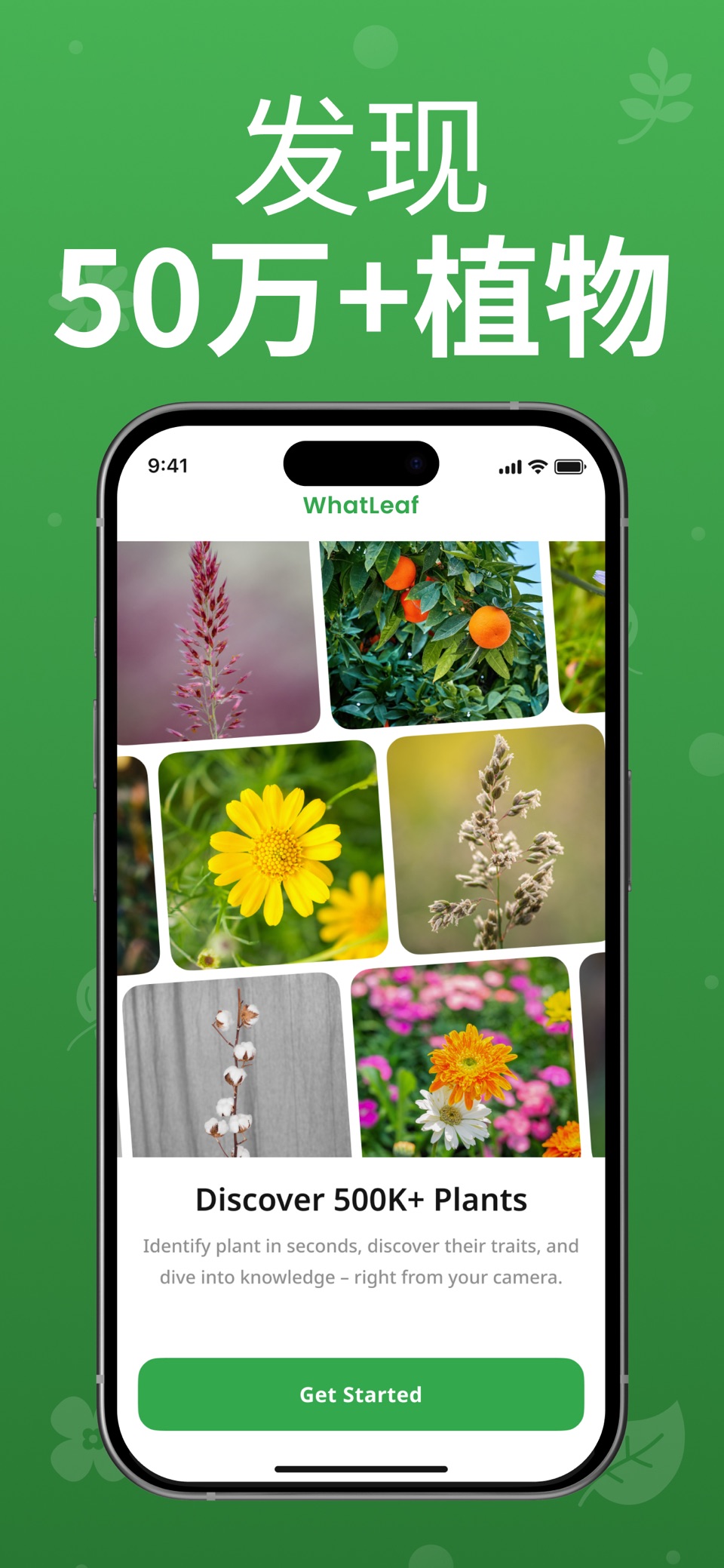 植物识别 - WhatLeaf 8