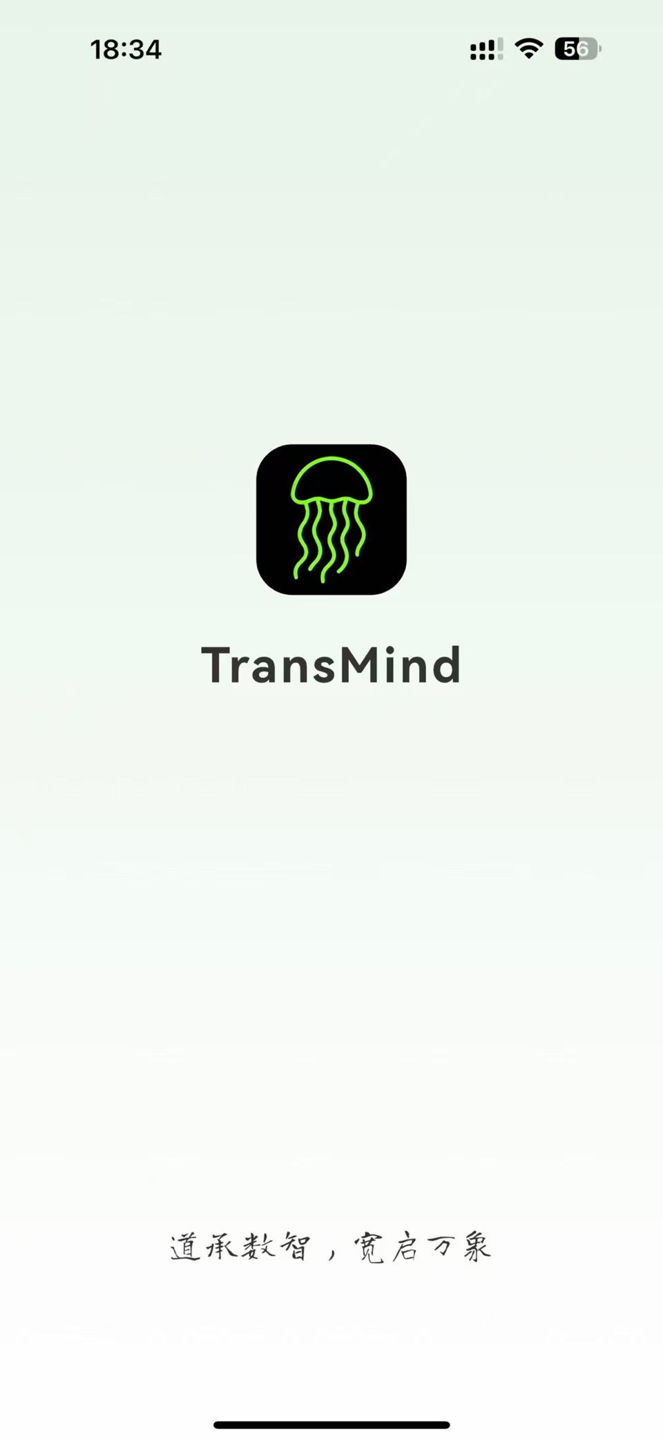 TransMind · Store screenshots