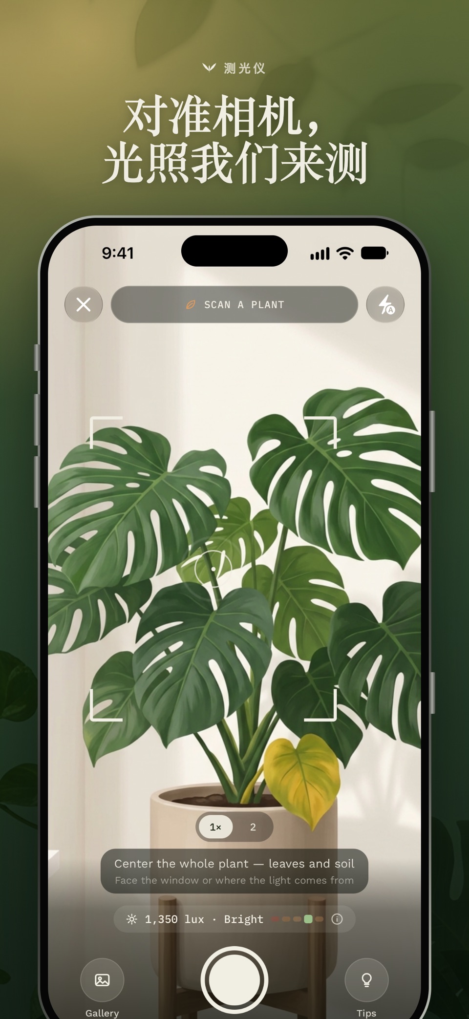 Plumula: AI Plant Doctor 2