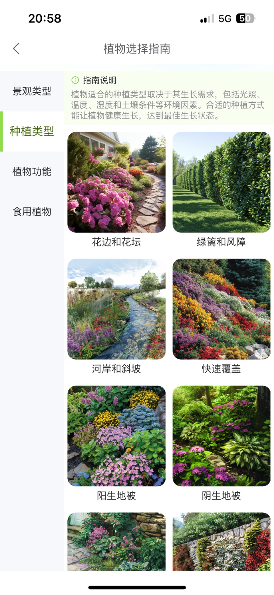踏遍景观植物词典 3