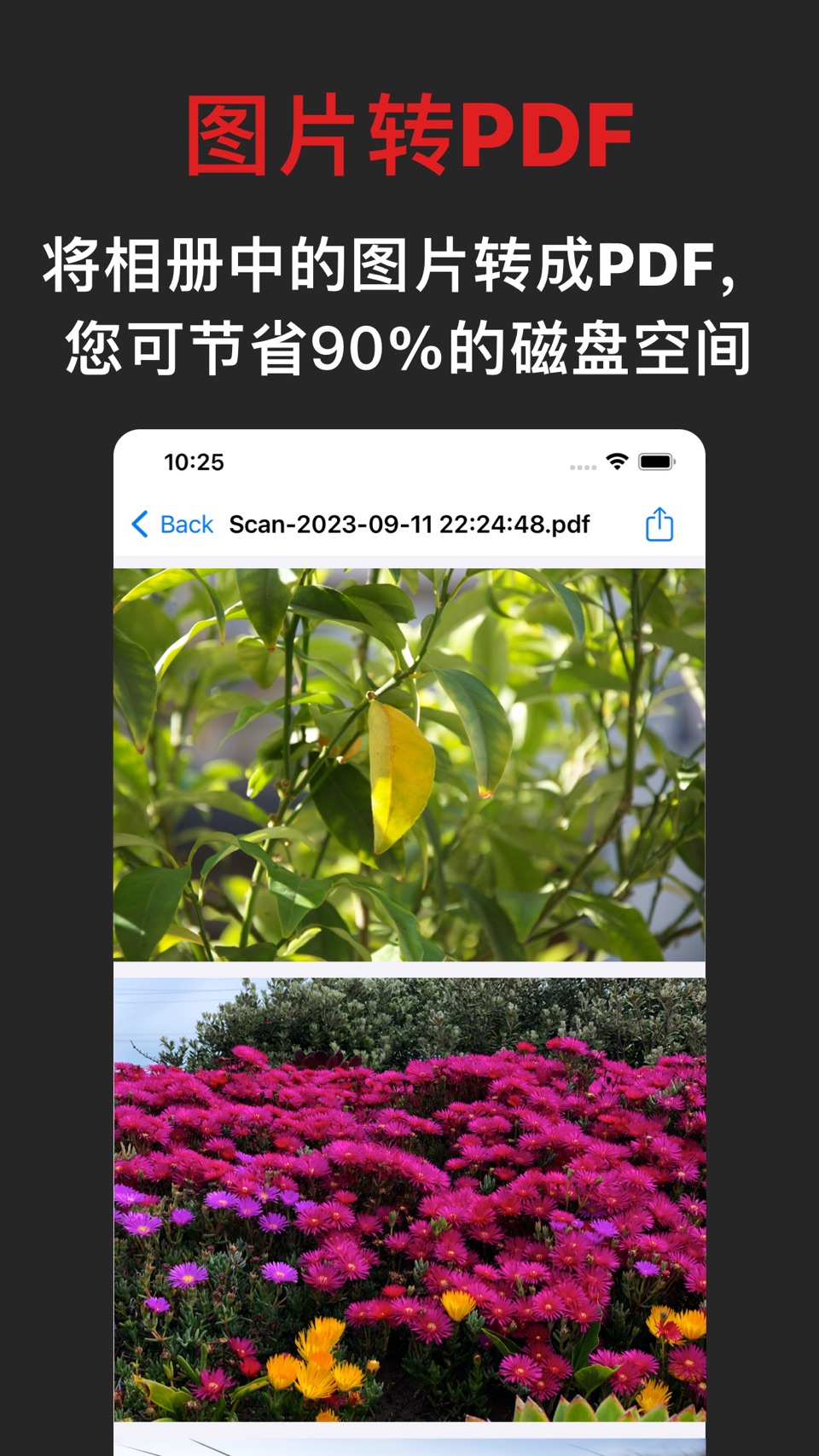 诺动PDF扫描仪 3