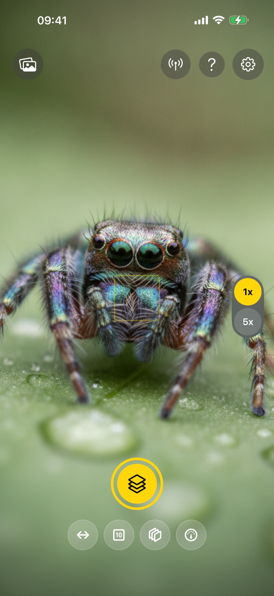 Zeus Focus Stacking · Store screenshots