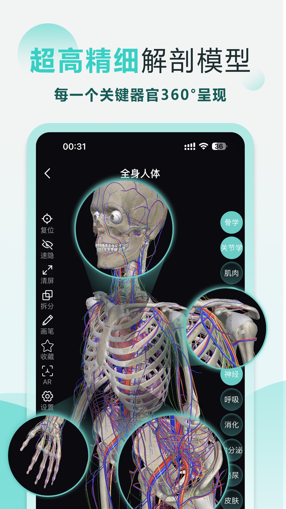 掌上3D解剖-学解剖·中医·刷题·听名师课程 2