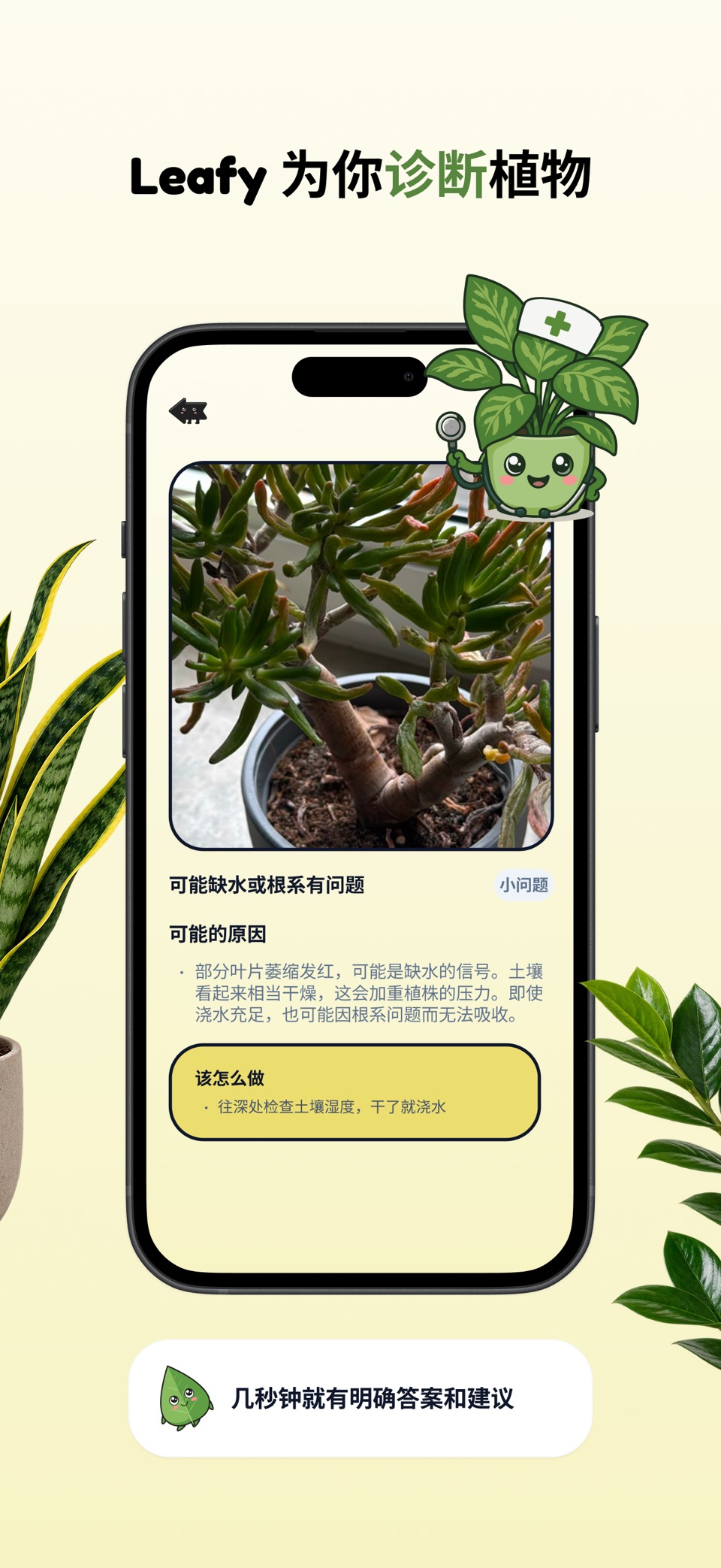 Leafy – 植物养护・浇水提醒・绿植识别 2