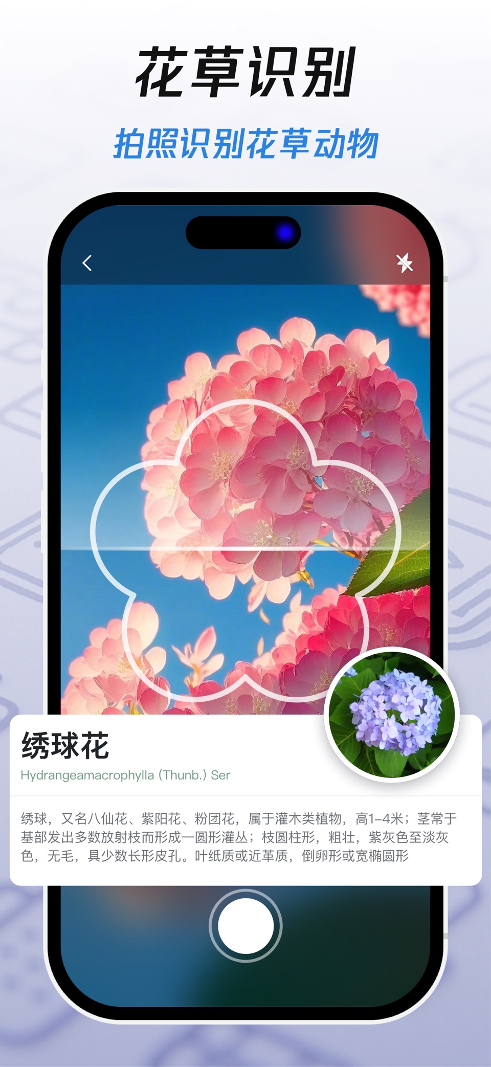 AI识别王-扫描识别王 2