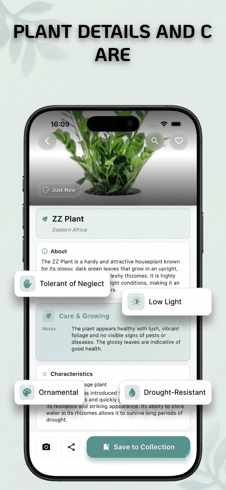 拍照识花植物识别神器-智能花草百科全书与家庭园艺养护助手 2