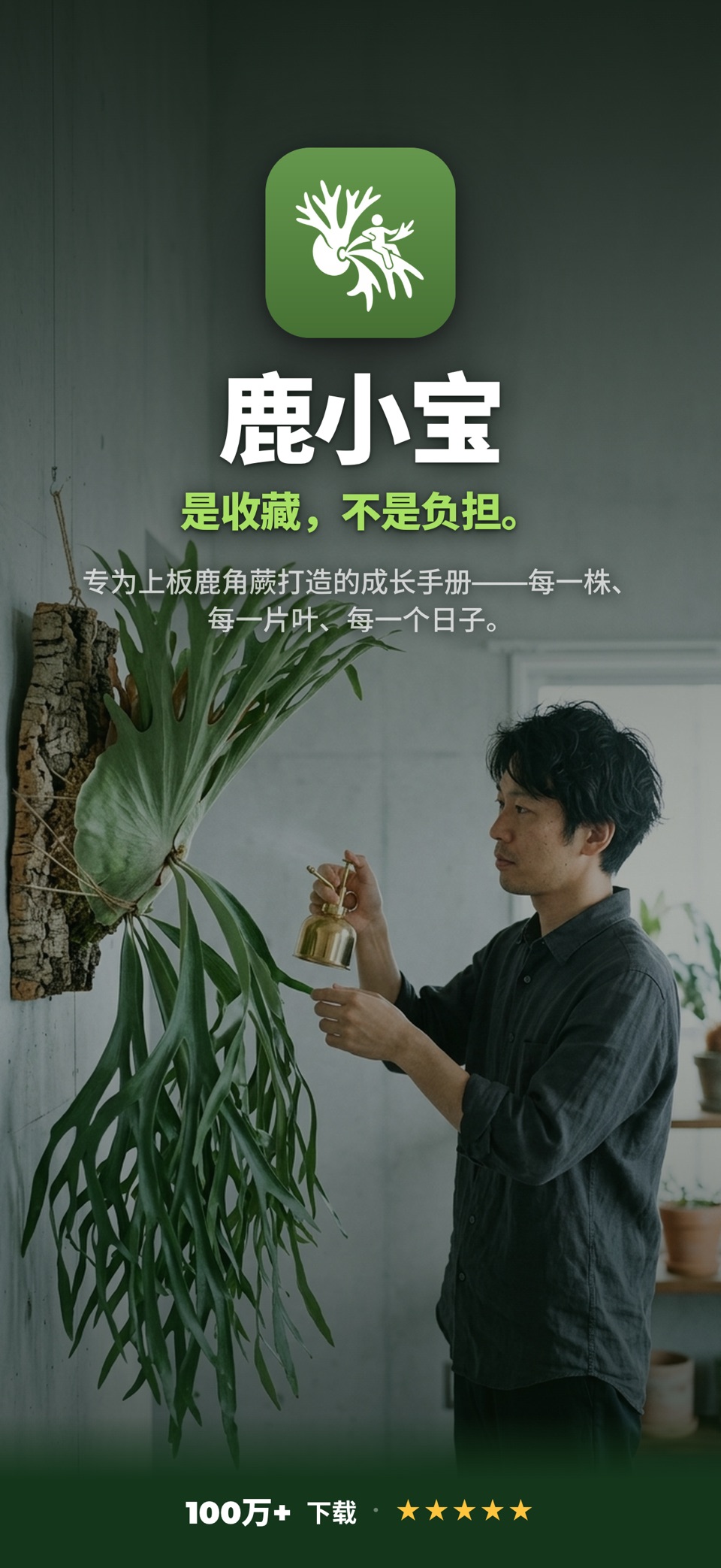 鹿小宝 - 鹿角蕨养护图鉴·多肉植物生长记录与养花日记 2
