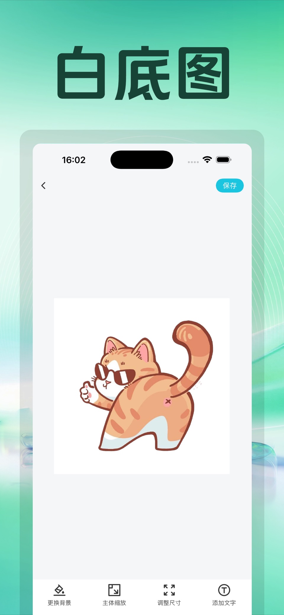 椰子抠图 3