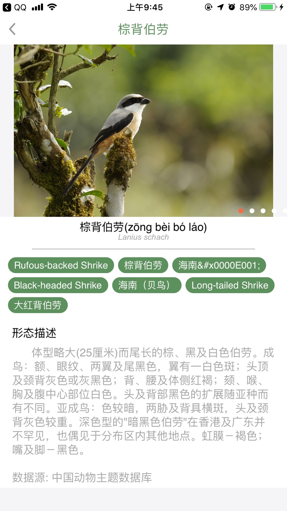 生物记 3