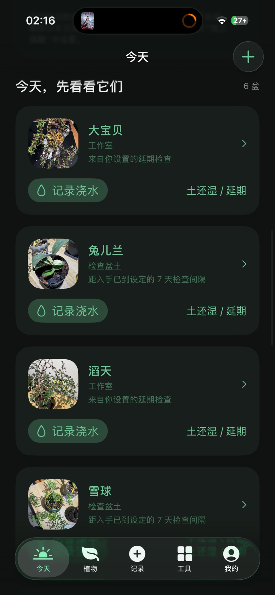 植档 2