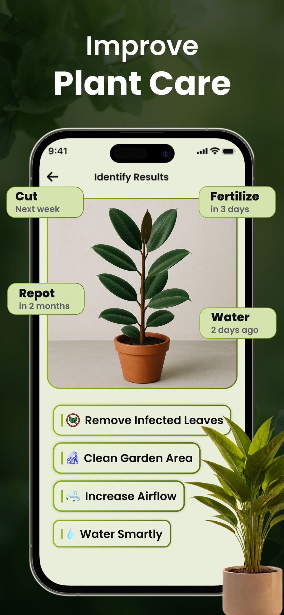 植物识别 - Leafio 6