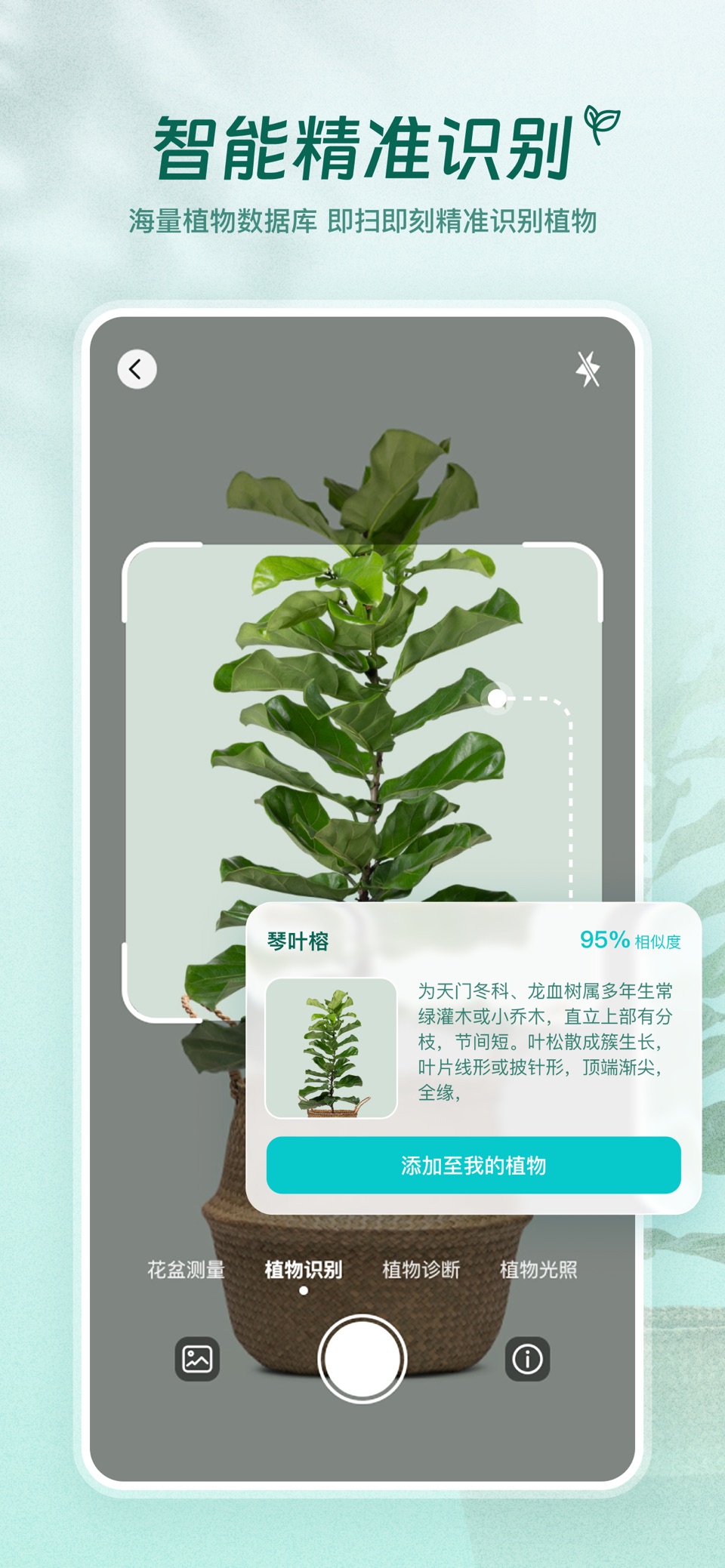 植物AI-拍照识别植物树木花草 · Store screenshots