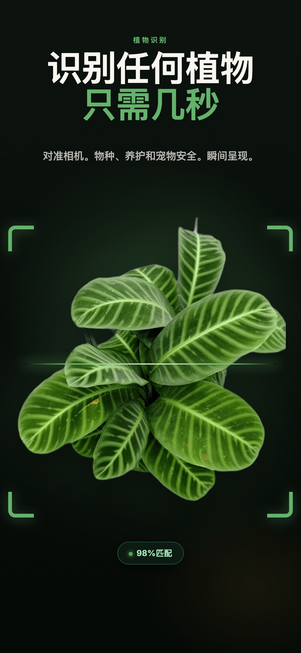 植物识别 - 养护指南 · Store screenshots