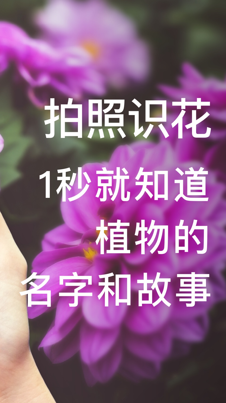形色 -拍照识花识别植物 2