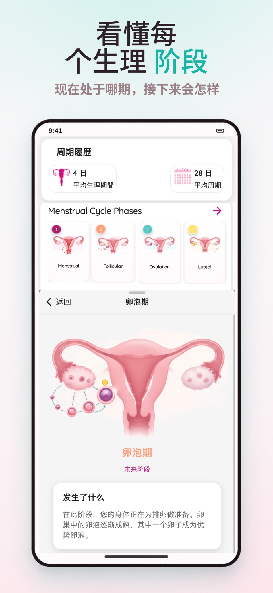 例假记录: 经期助手：排卵计算日历 2