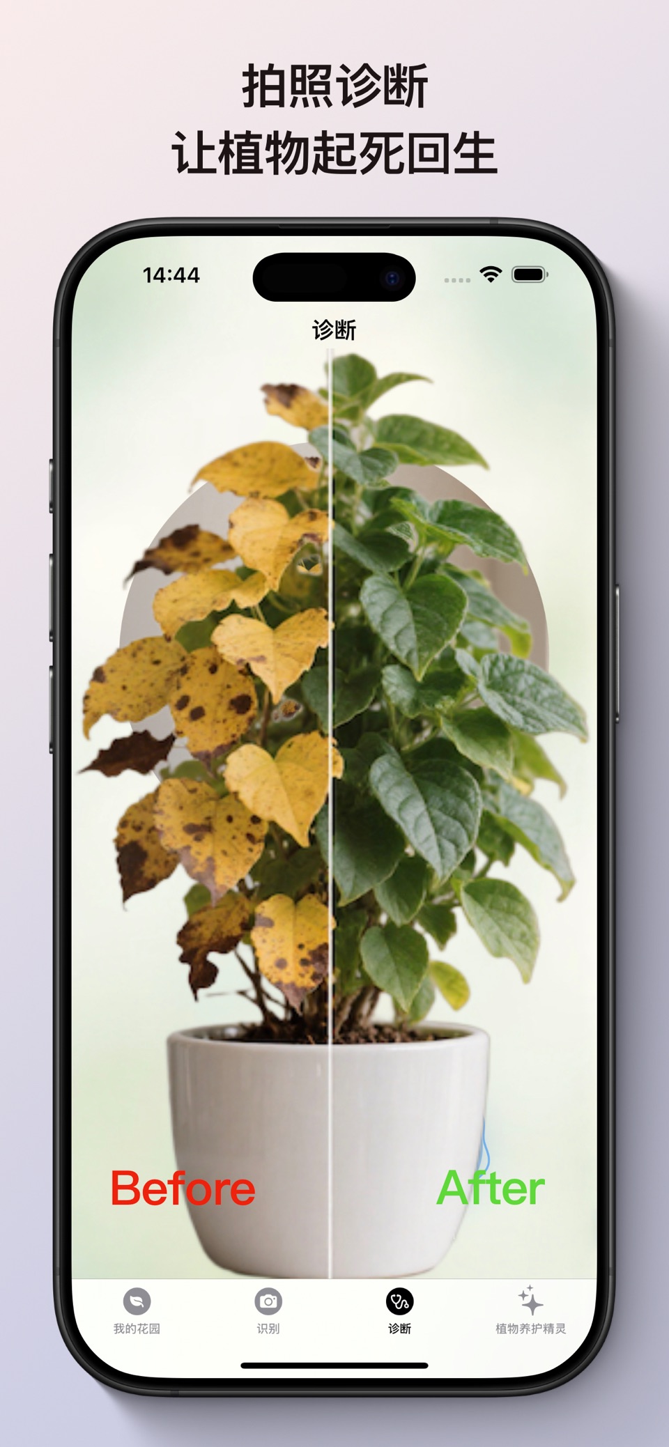 Planten - AI识花与植物医生 3