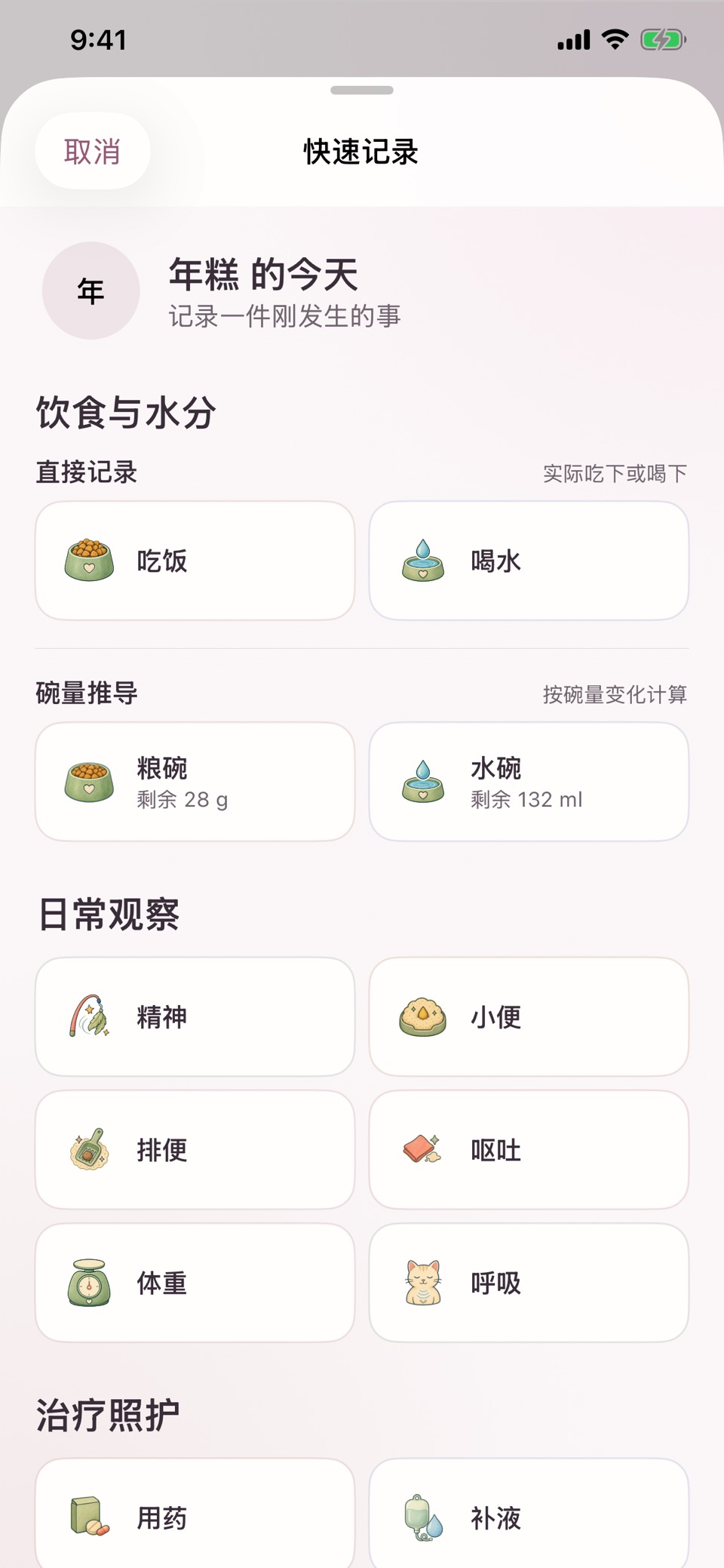 猫知岁 2