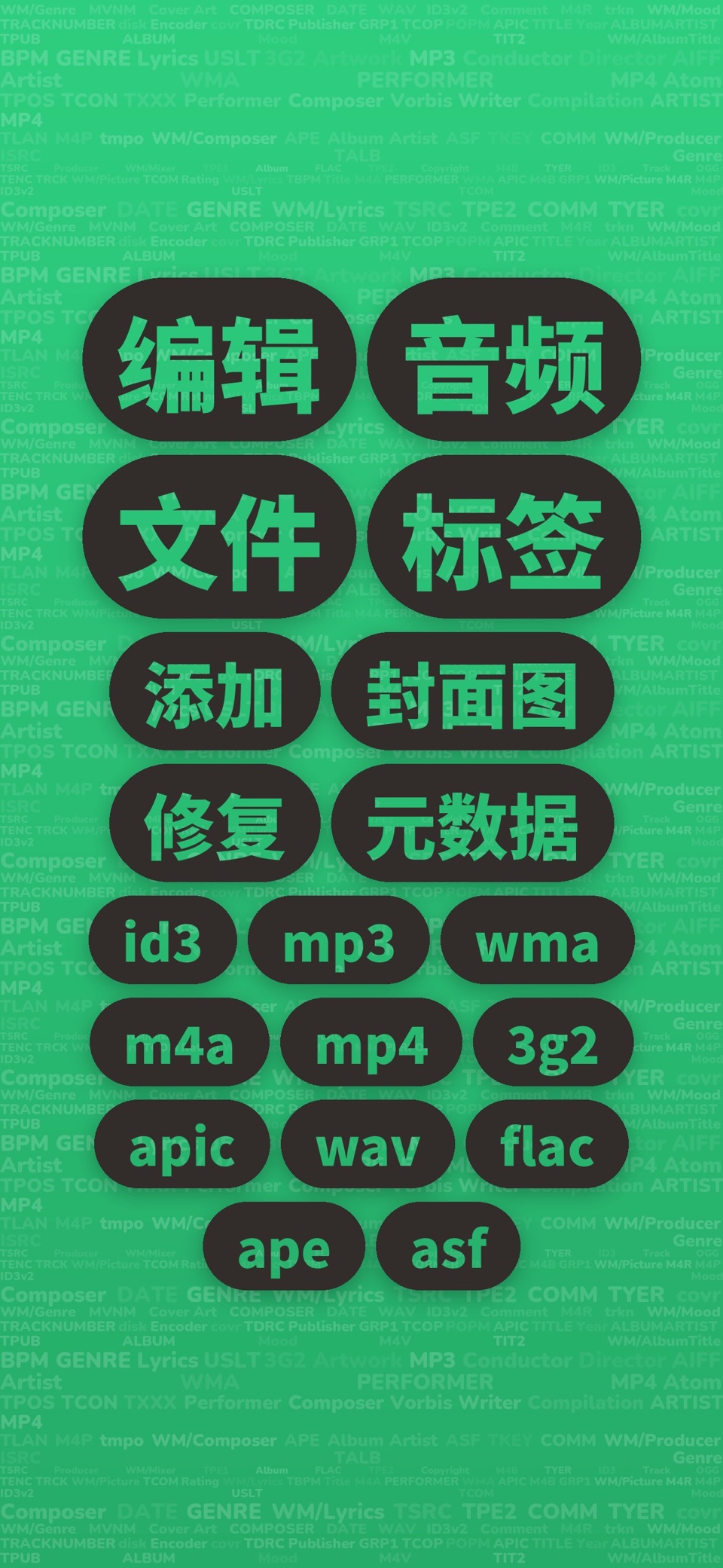 Evertag: 音乐元数据编辑器 · Store screenshots