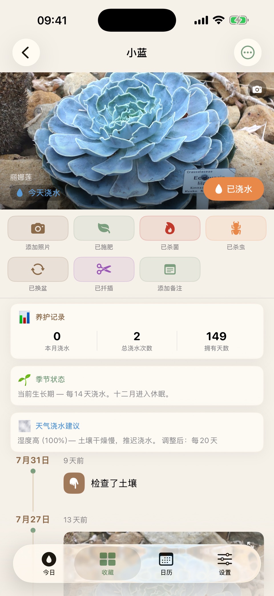 Succa - 多肉养护与成长记录 3