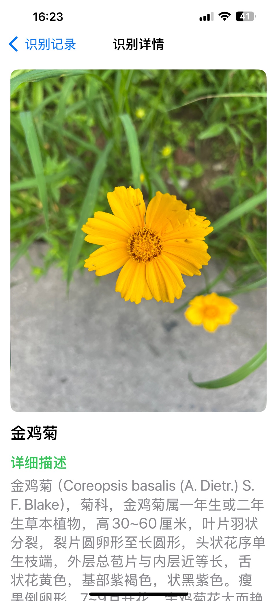 植物宝-拍照植物识别养护 2
