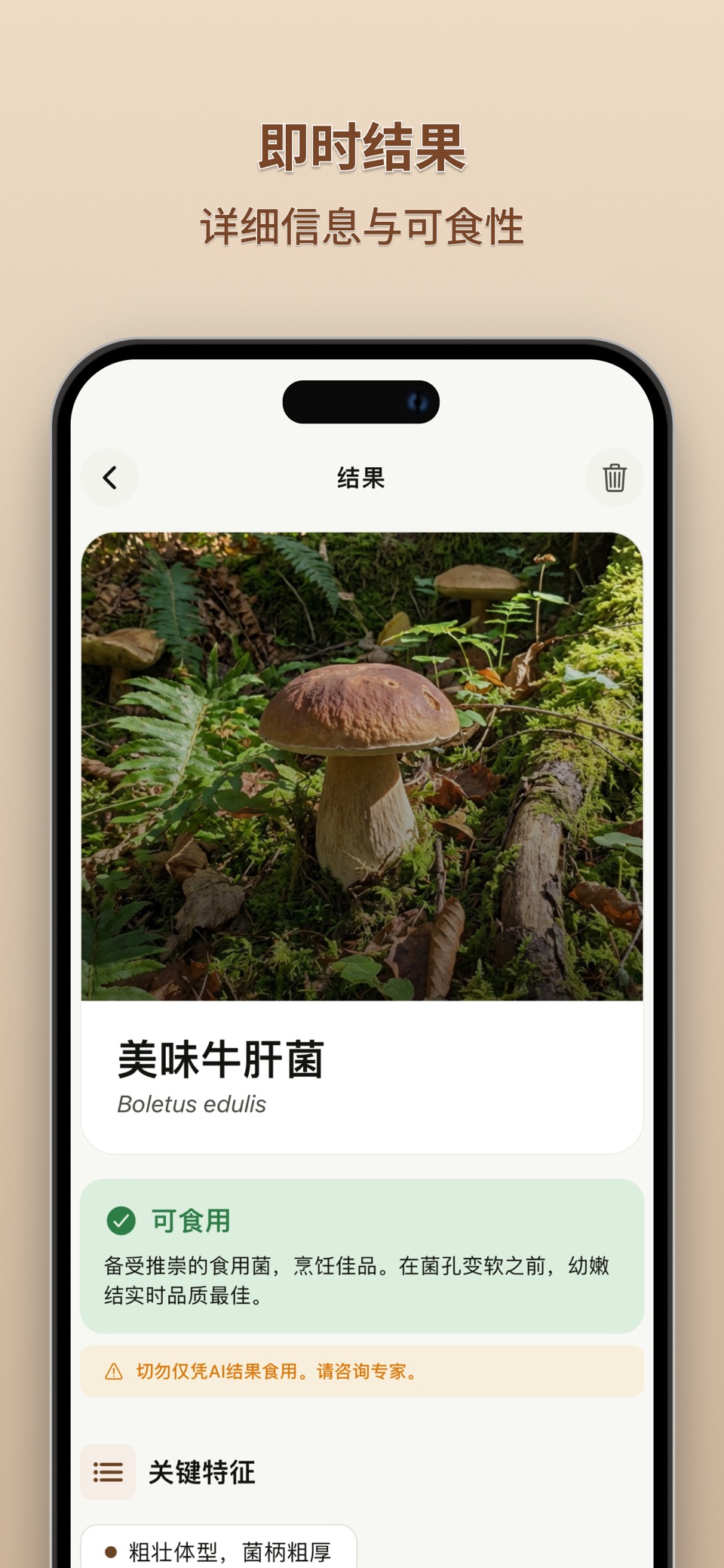 蘑菇识别: AI 扫描 2