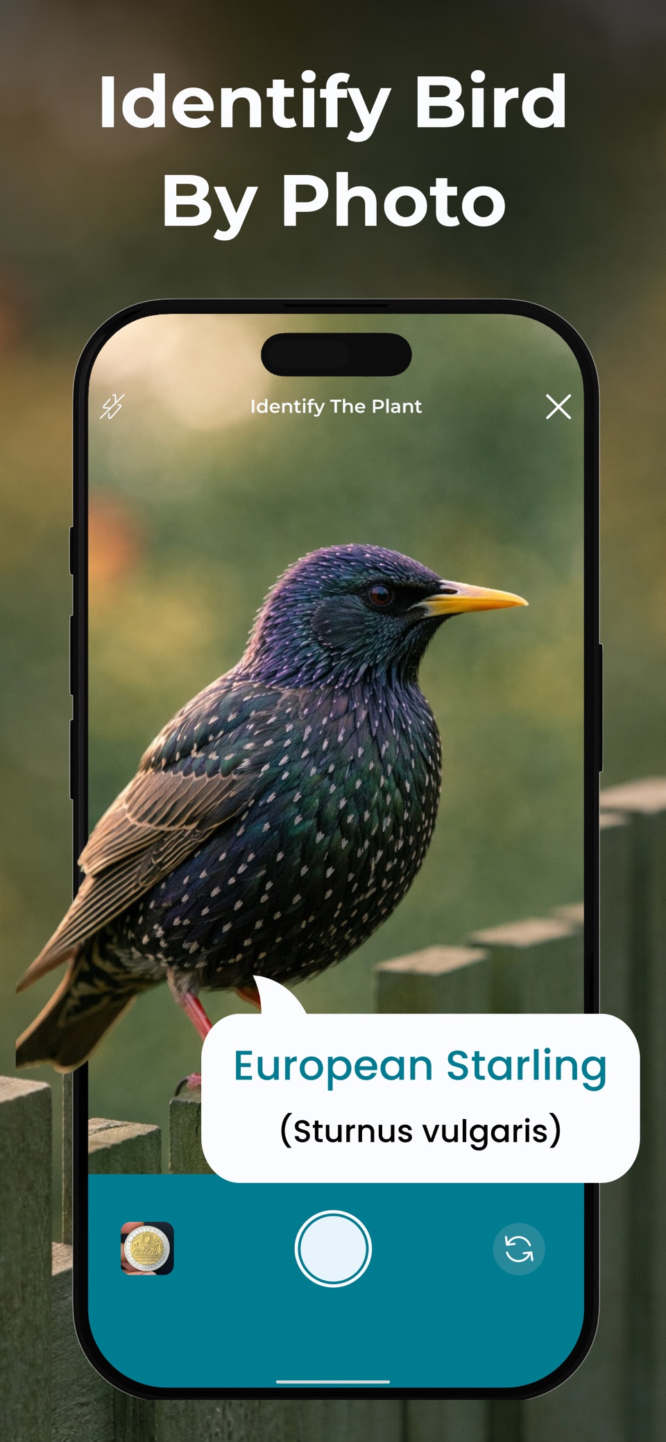 鸟类识别 - Birdsy · Store screenshots