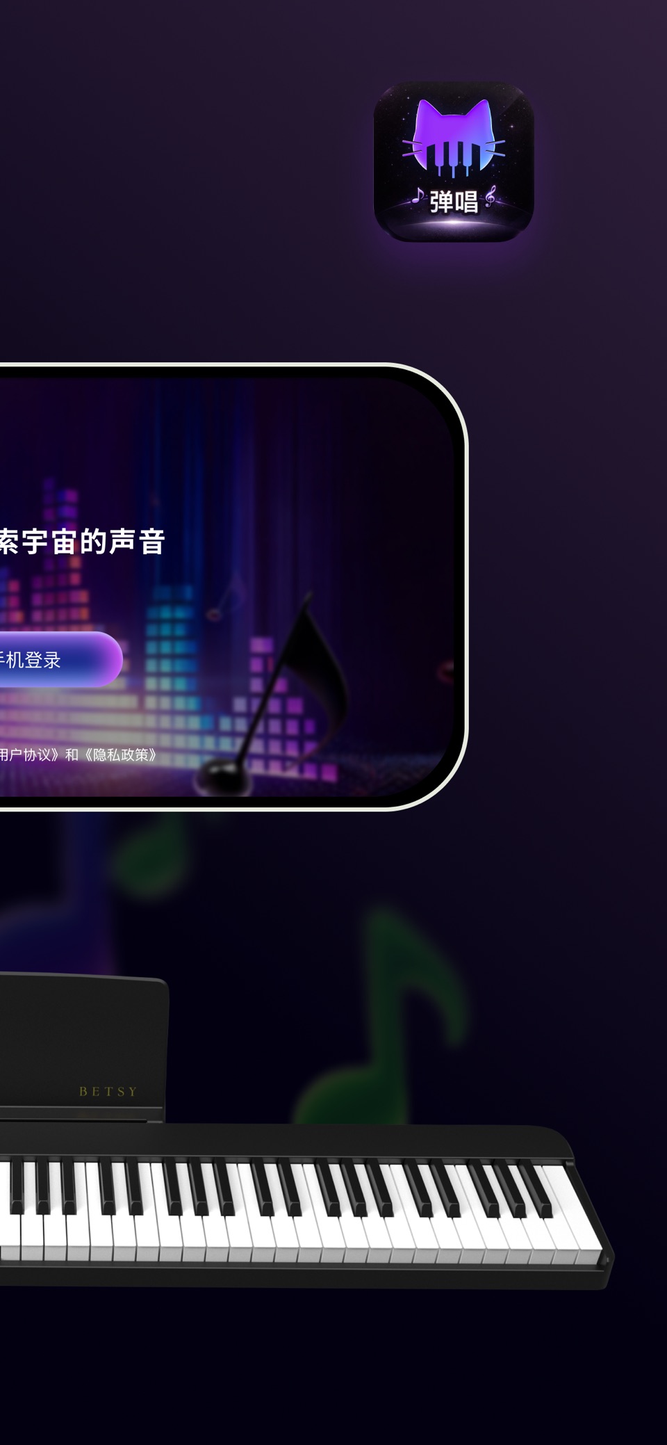 波音猫 2