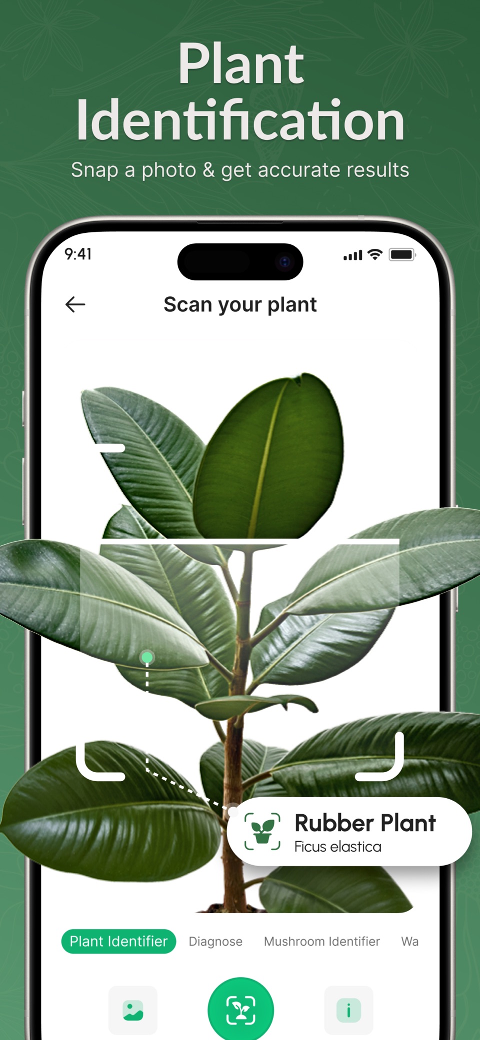 植物识别: AI扫描与养护 2
