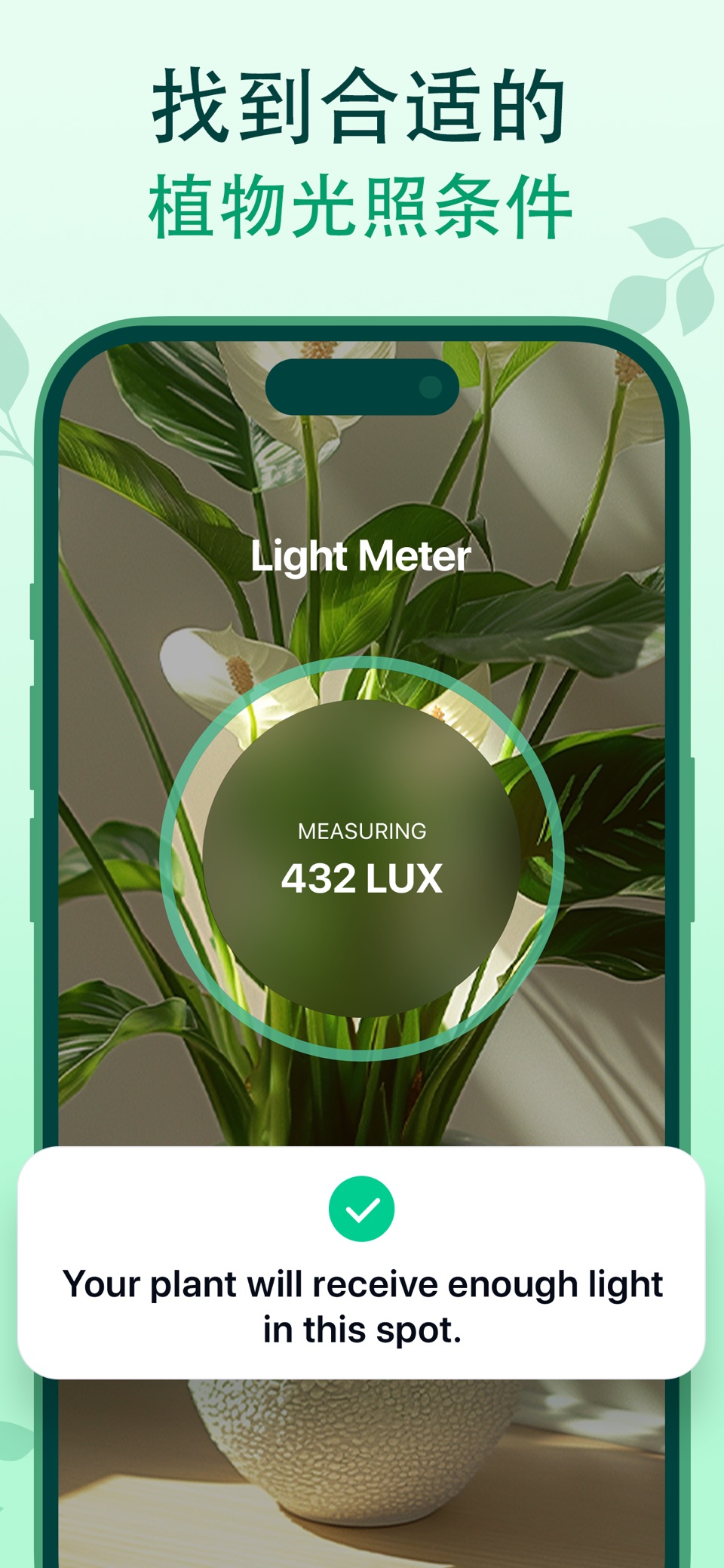 Plant Guru・植物识别，植物养护养花伴侣，拍照识花卉 6