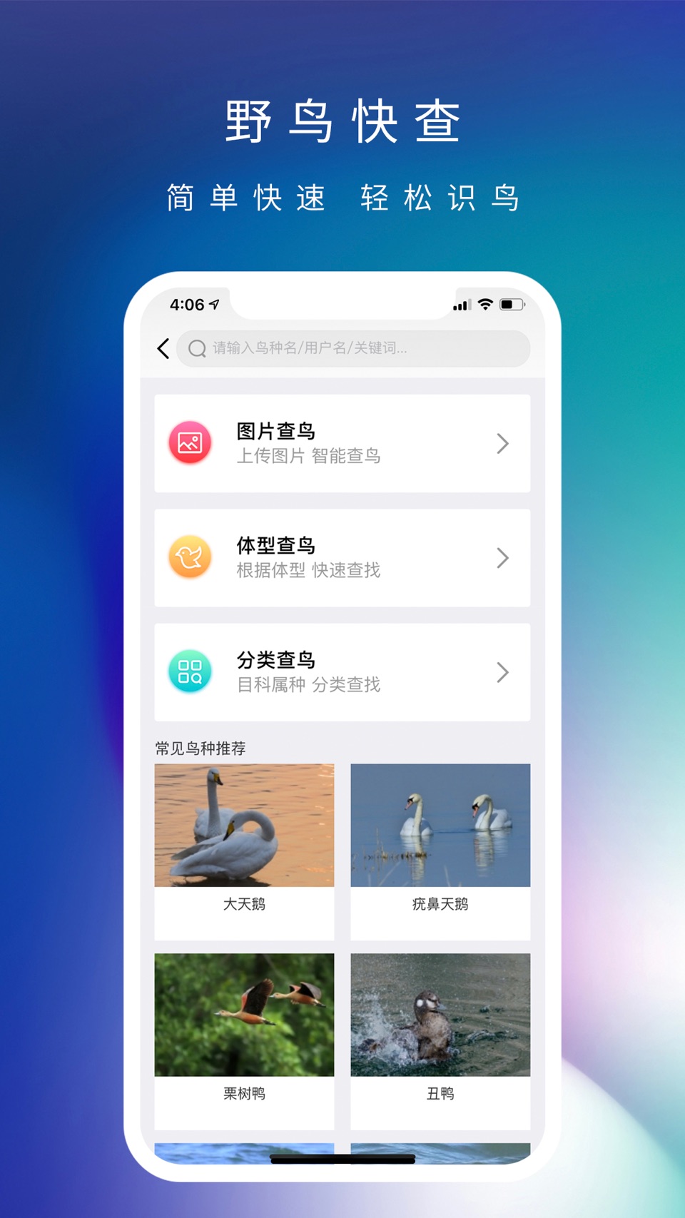 爱鸟国际 3