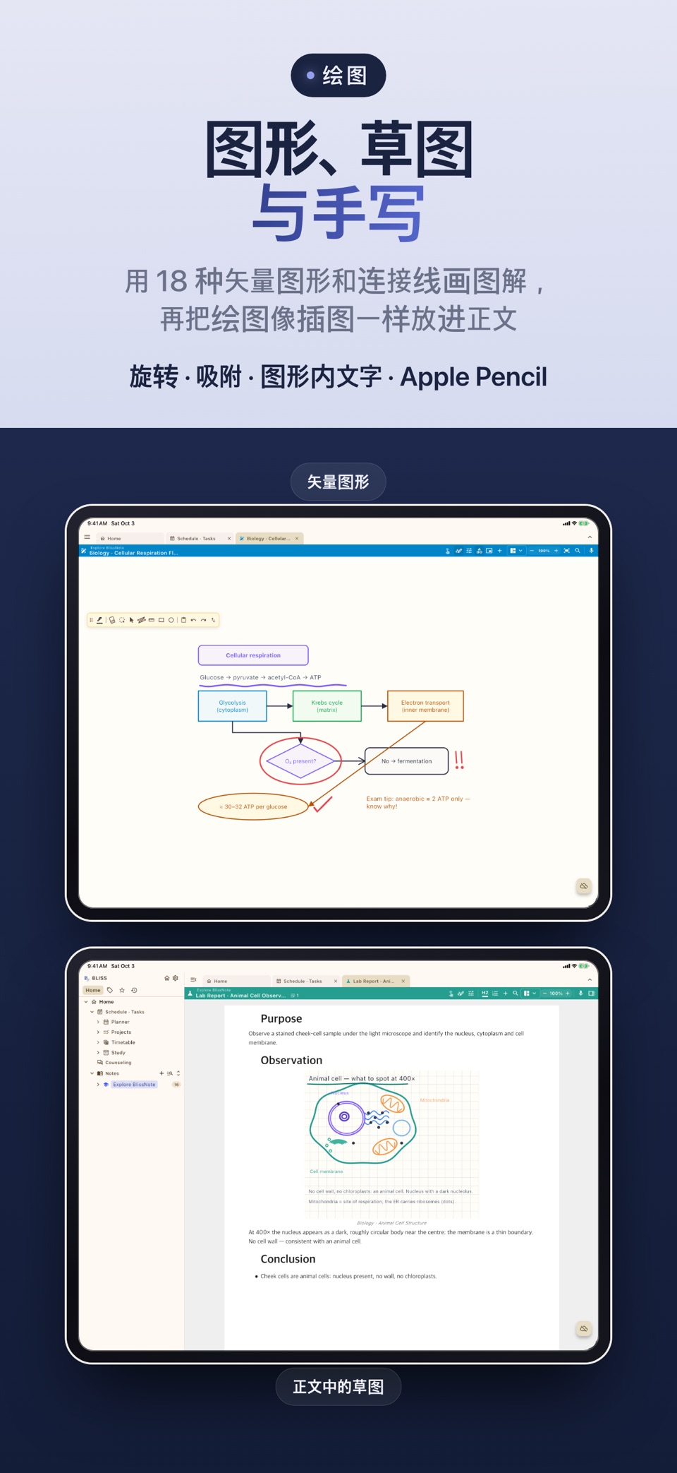 BLISS Note: 手写笔记 PDF 手帐 日程 2