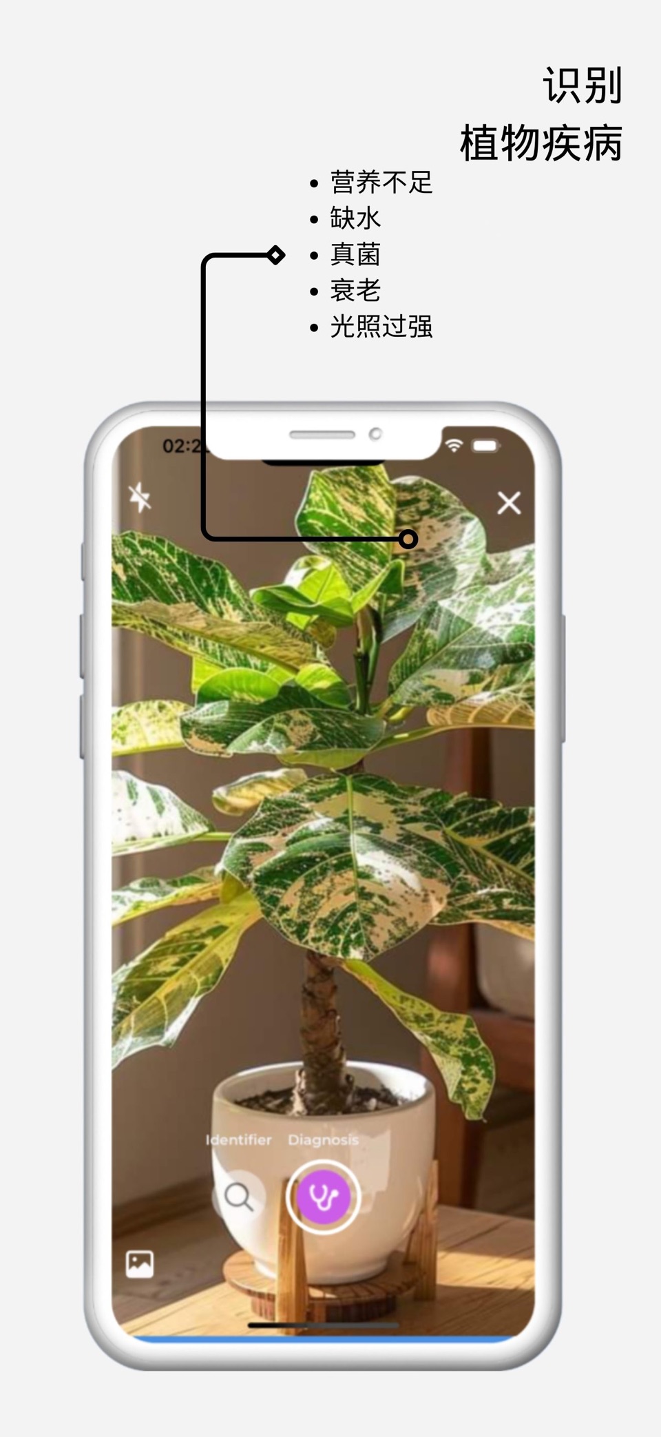 植物识别：护理应用 3