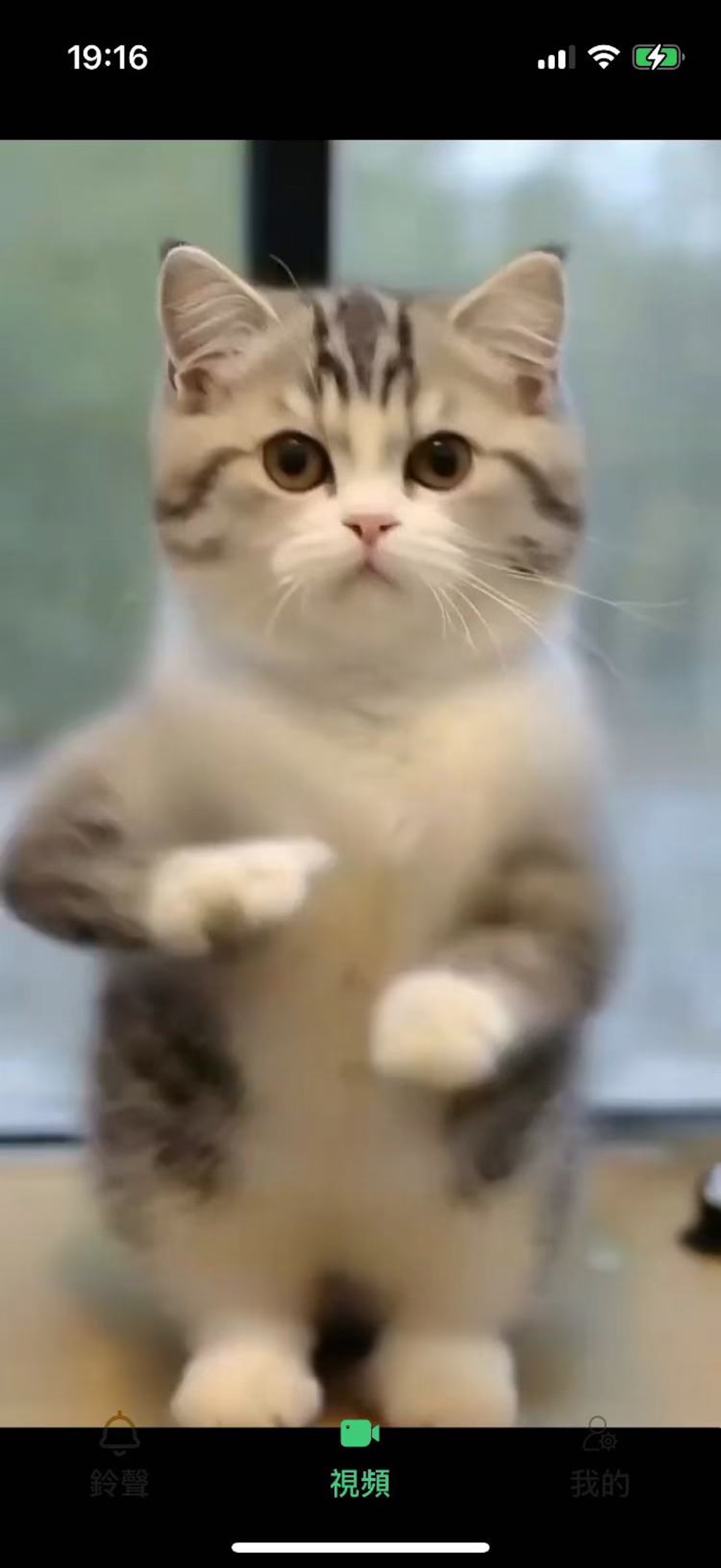 Ringtone Duoduo 2