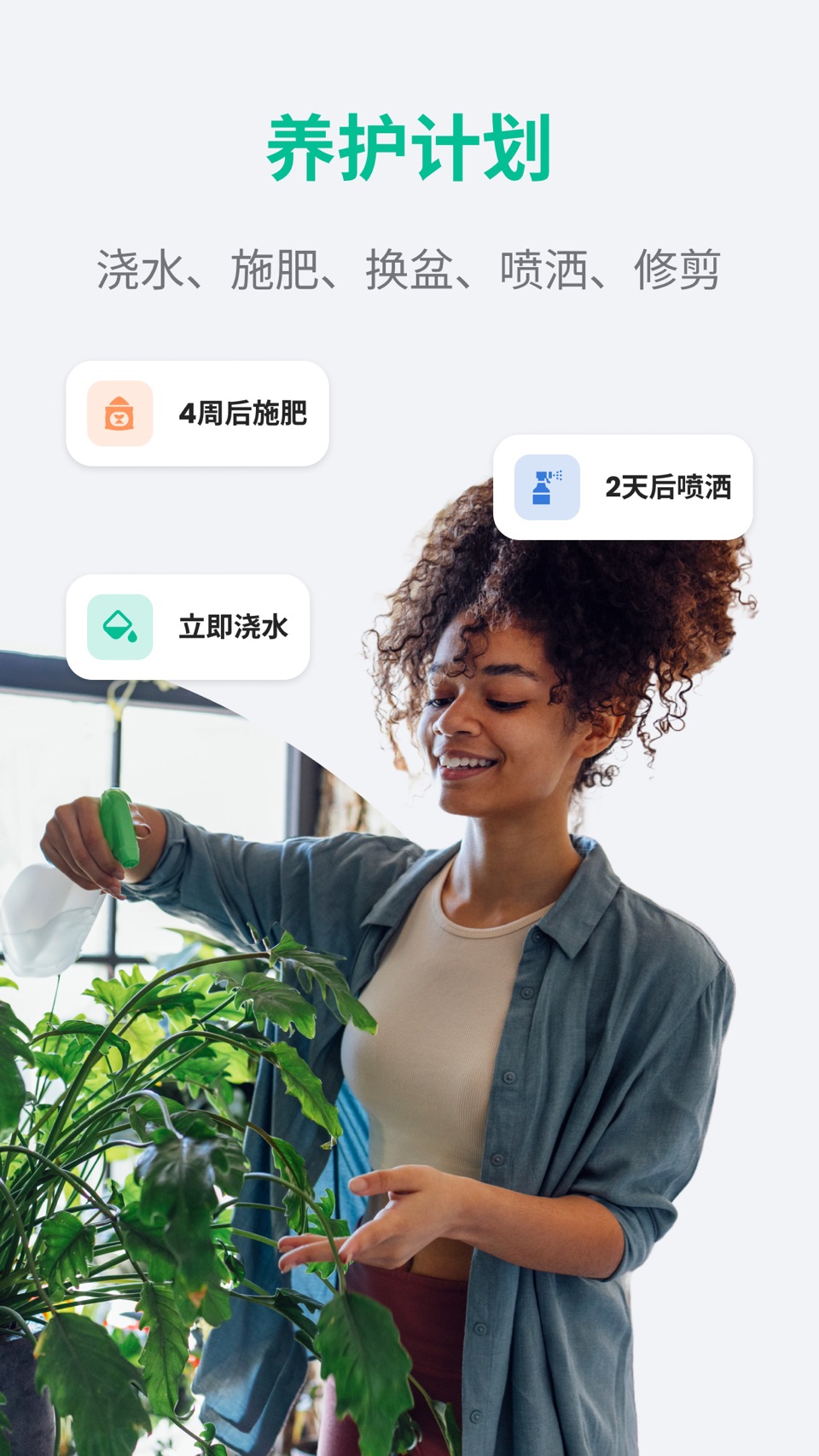 PlantIn: 植物标识符 3