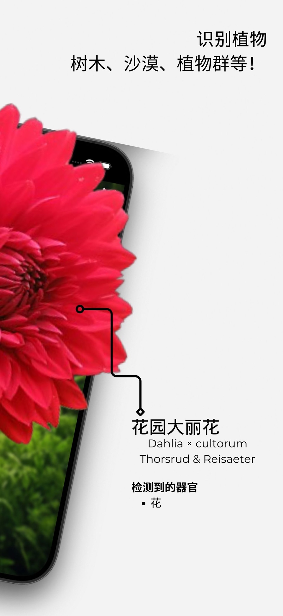 植物识别：护理应用 2