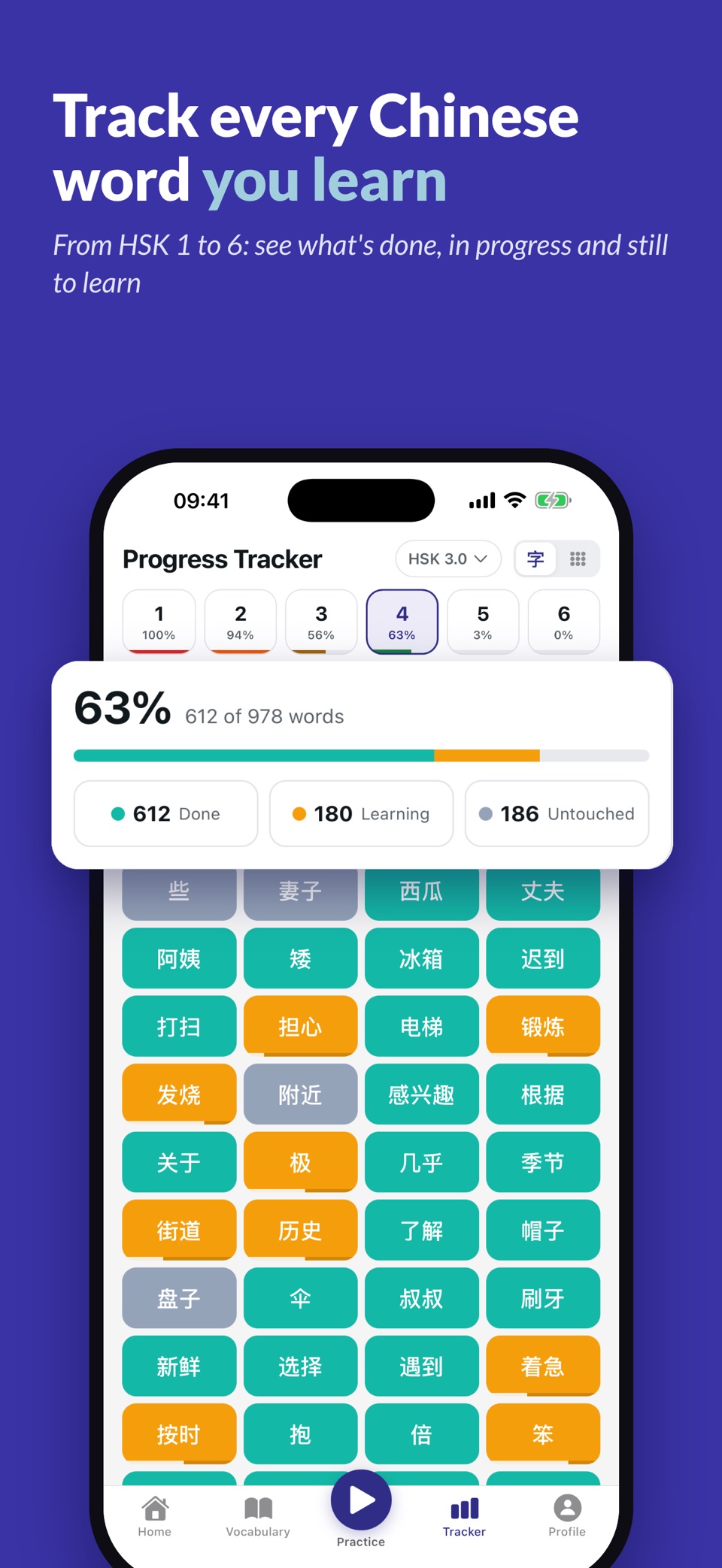 HSK Tracker · Store screenshots