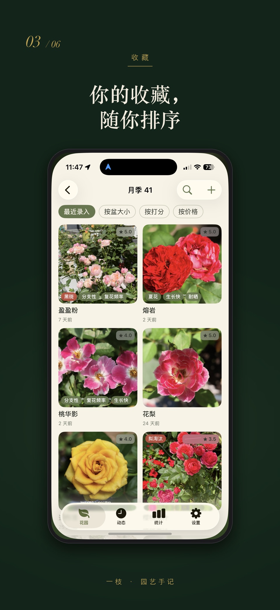 一枝 — 花园品种档案 3