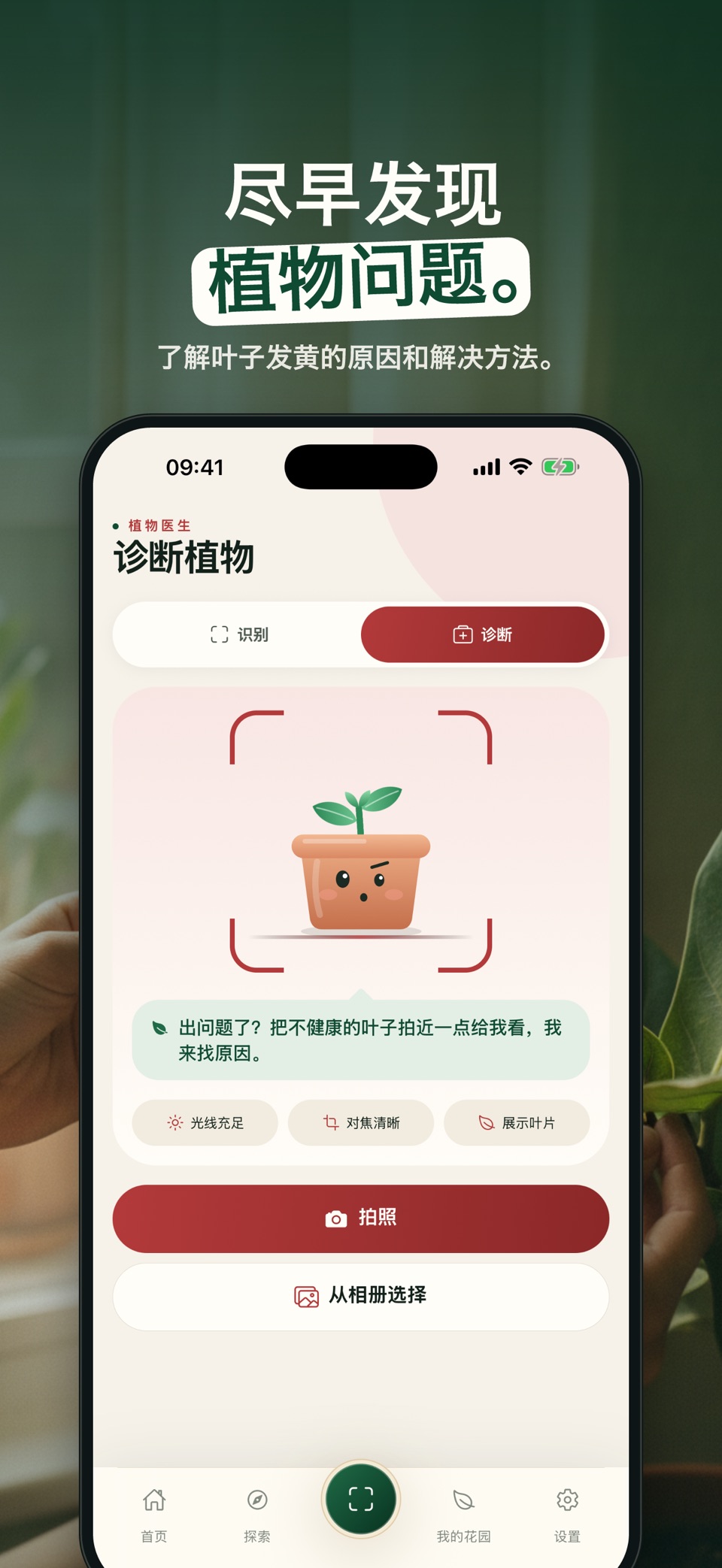 拍照识花・植物识别：Grano 2