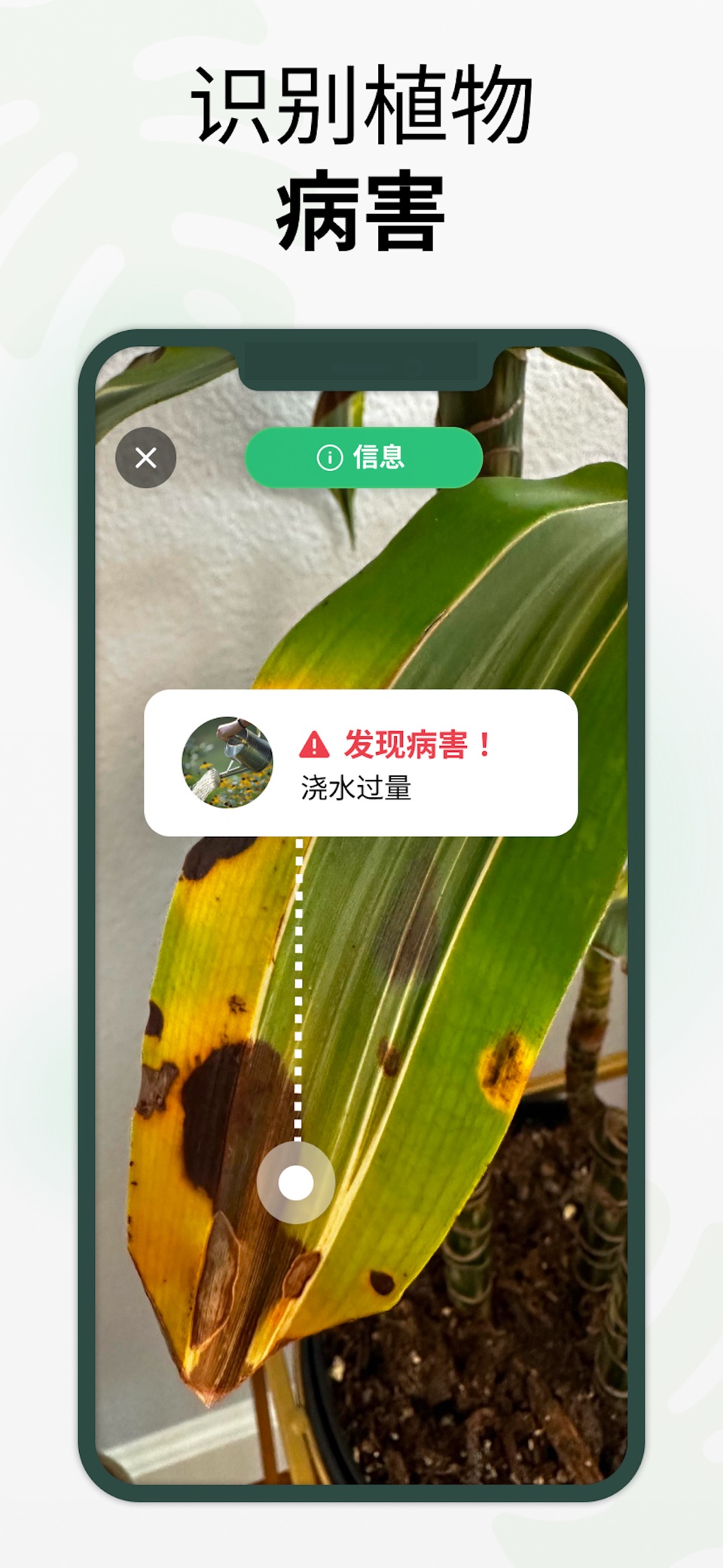 PlantGo：植物识别与养护 3