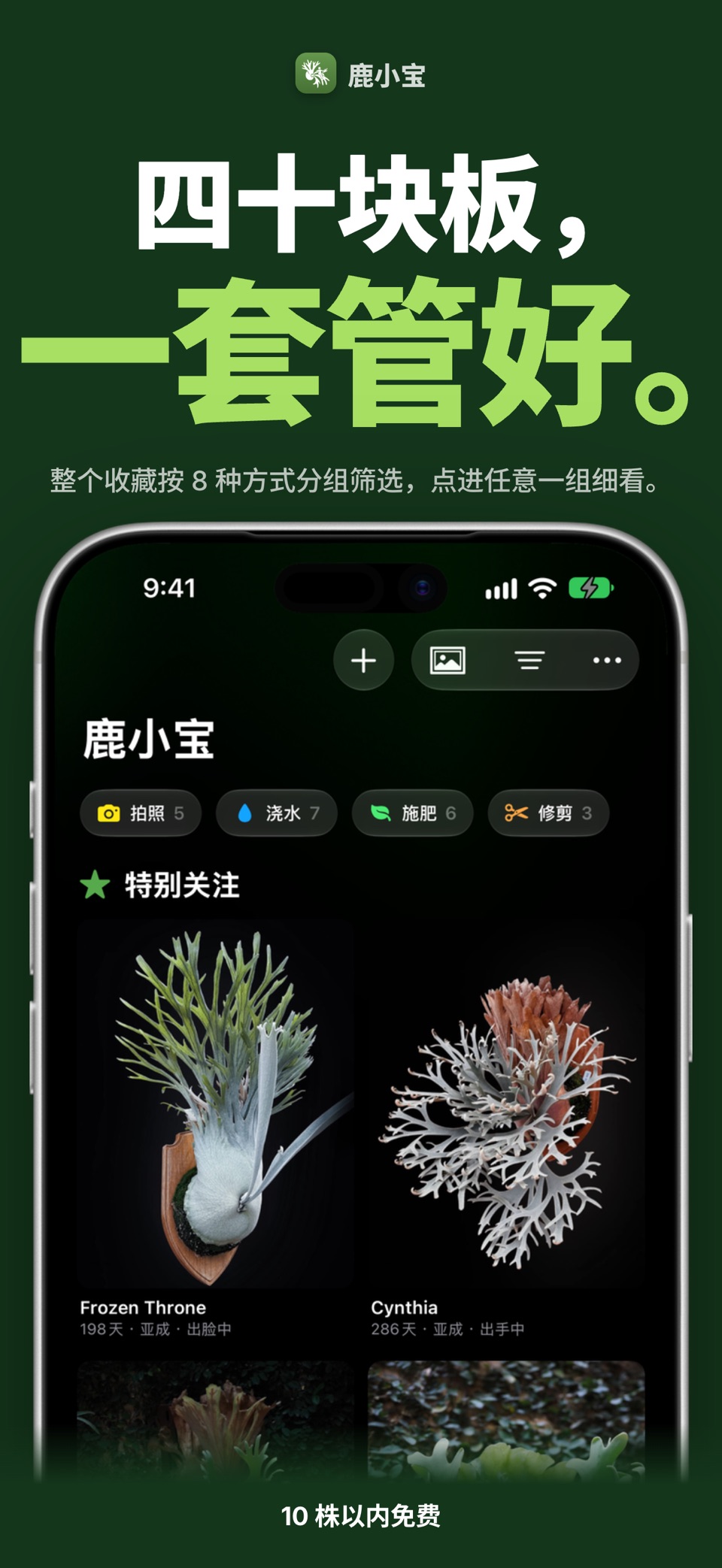 鹿小宝 - 鹿角蕨养护图鉴·多肉植物生长记录与养花日记 3