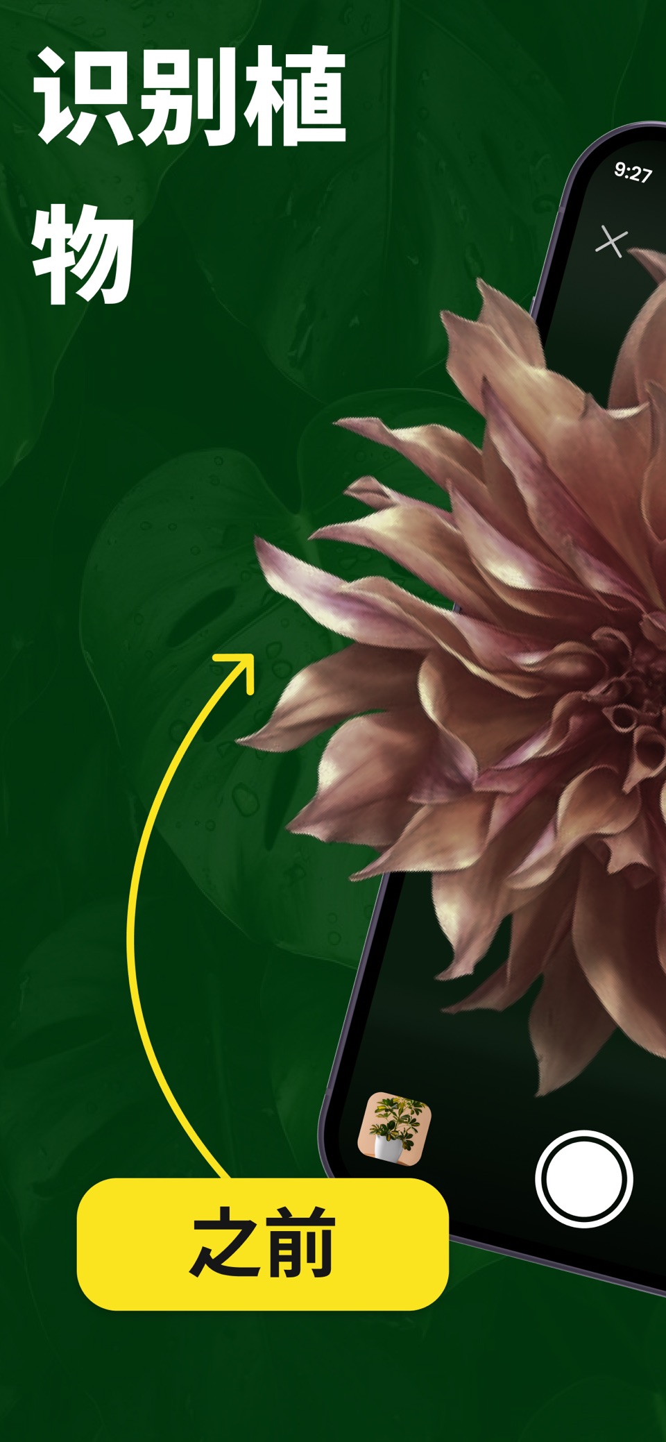 AI植物识别：花草树木图鉴 · Store screenshots