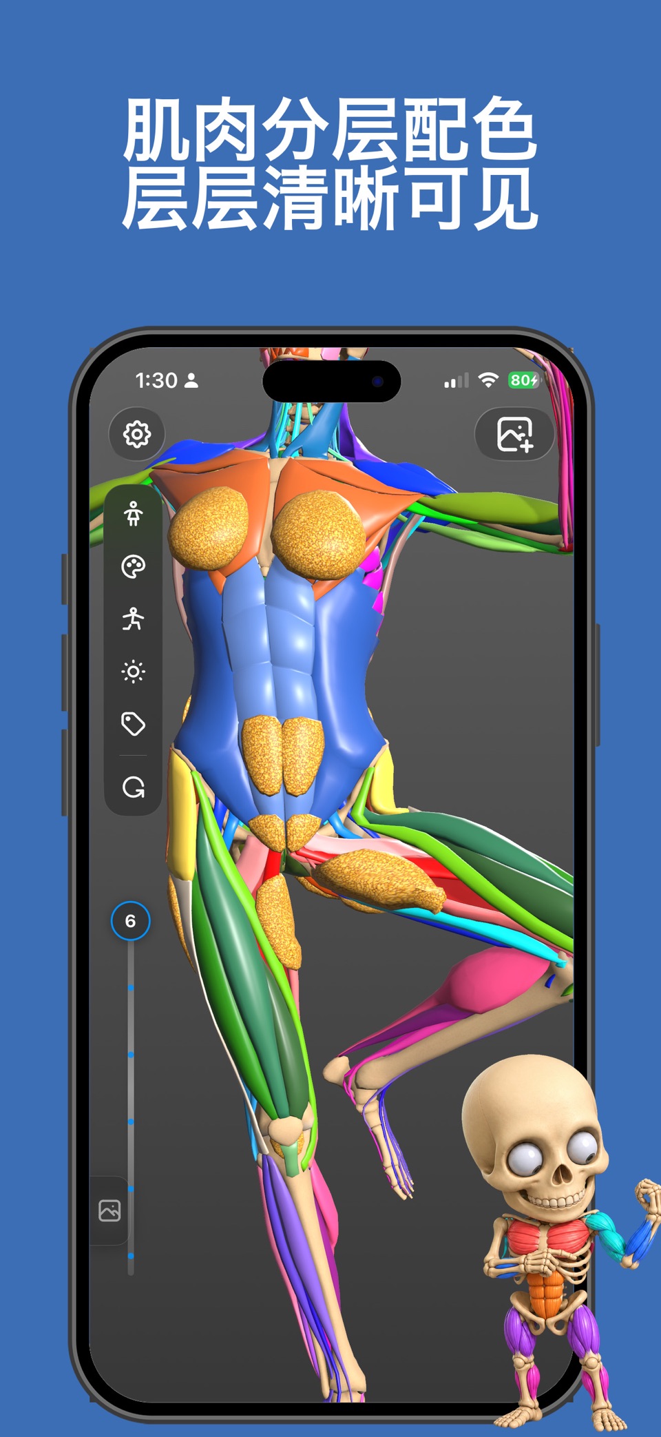 Art Anatomy 2